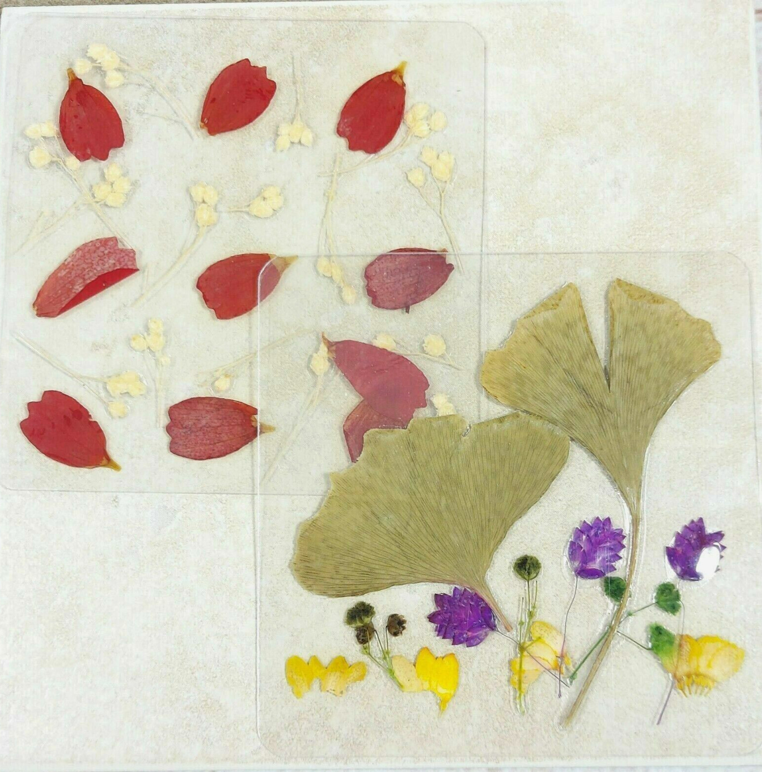 Dried Pressed Flowers Natural Flower Petal Set Resin Art Design Home Décor Gift