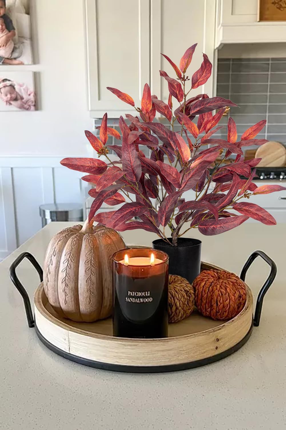 Fall Burgundy Artificial Potted Plant Black Pot 18.9 Inch Faux Eucalyptus
