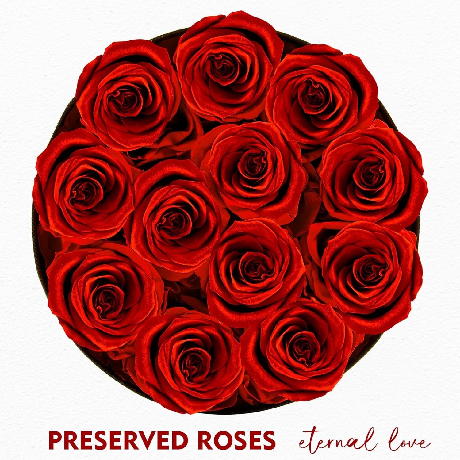Lovely Preserved Roses in Box Perfect for Anniversary and Birthday Gifts