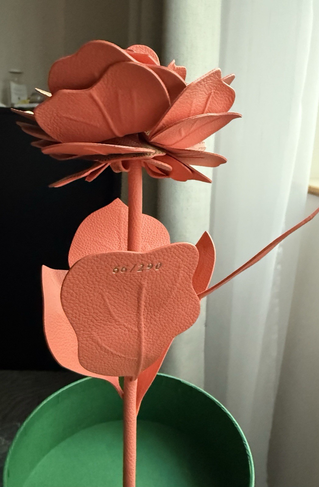 New Goyard Limited Edition MON AMIE LA ROSE Coral Flower With Paper Vase Case