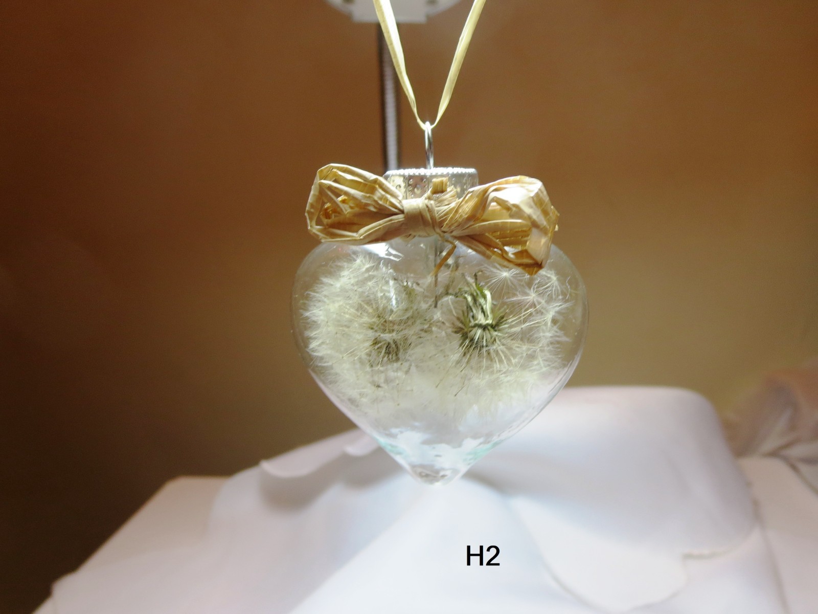 Dandelionins jar Dandelions decor dried flower heart shape Dandelions decor