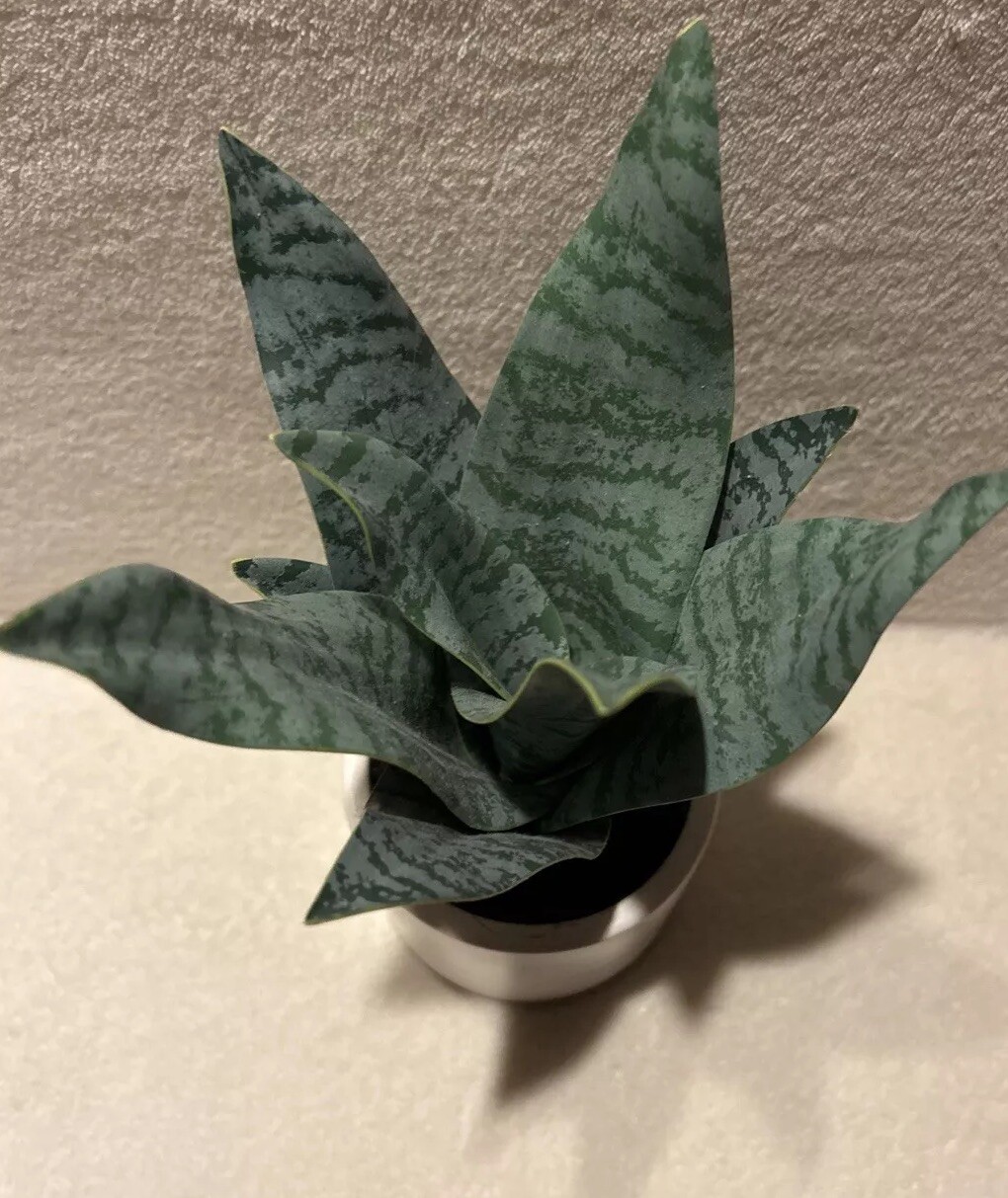 5 Faux Potted Houseplants Threshold 3-4 Inch Pots