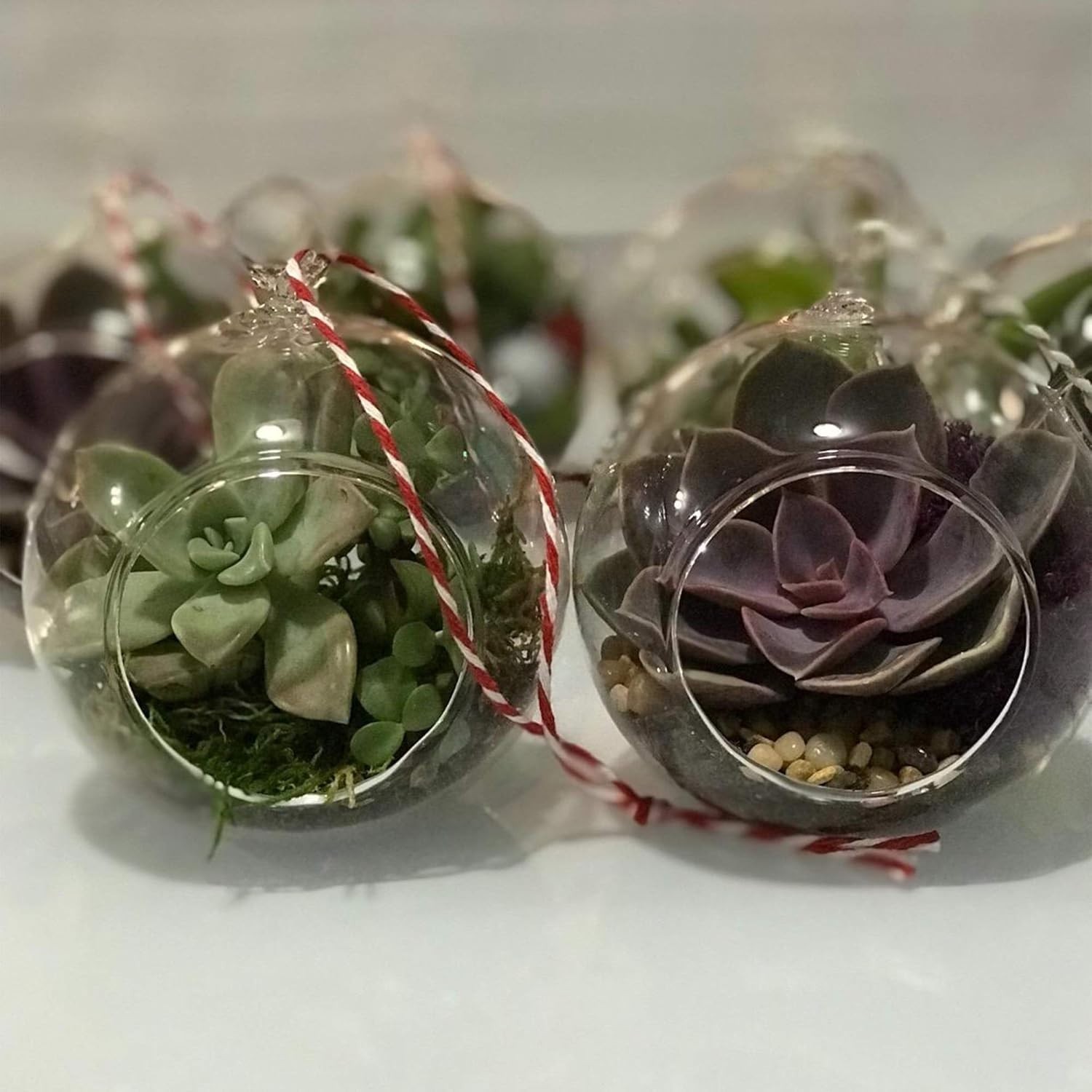 Versatile 6″ Glass Terrarium Globe – Perfect for Succulents and Candles