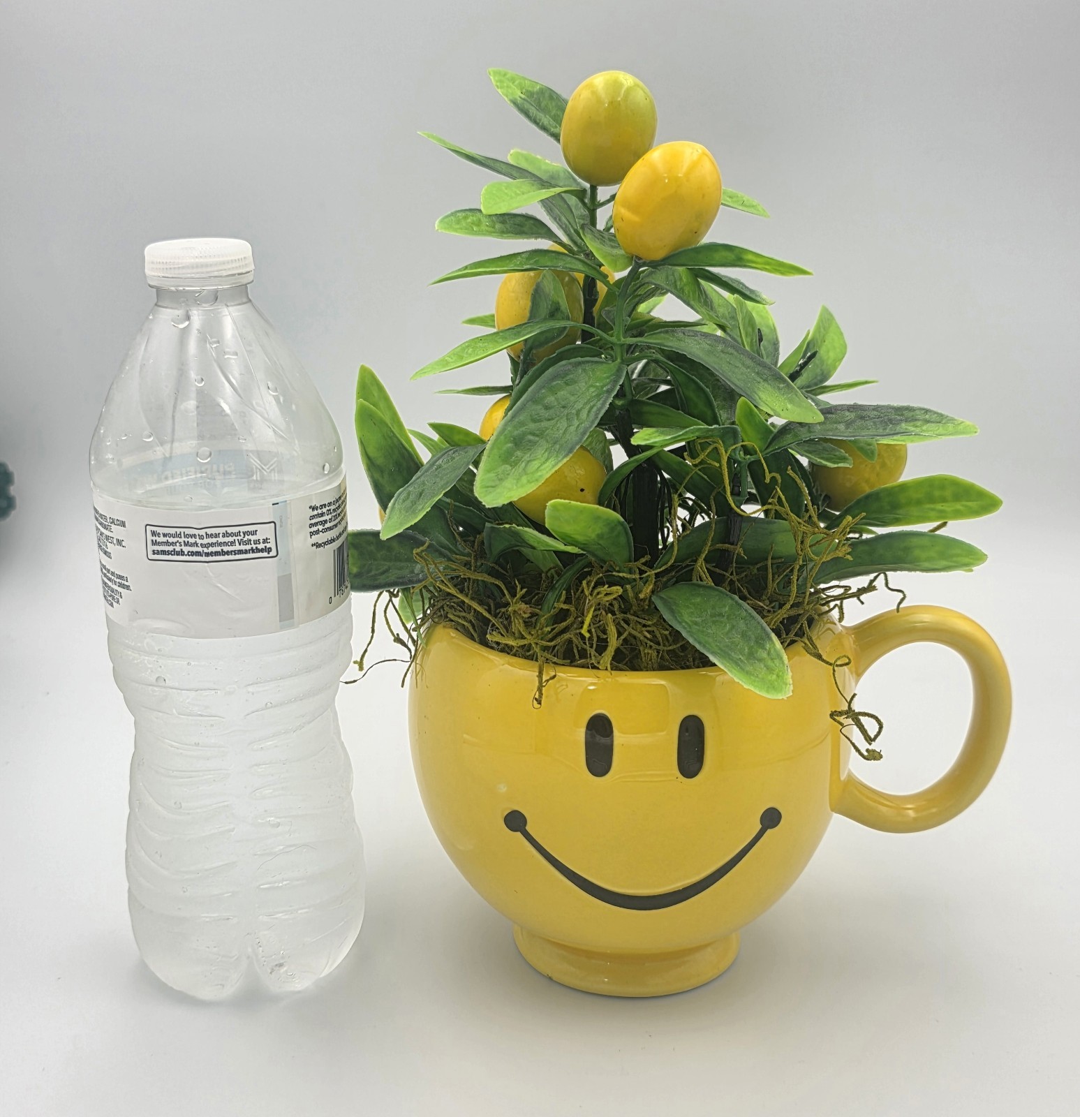 SMILEY FACE BRIGHT YELLOW CERAMIC CUP WITH LEMON TREE FLORAL ARRANGEMENT