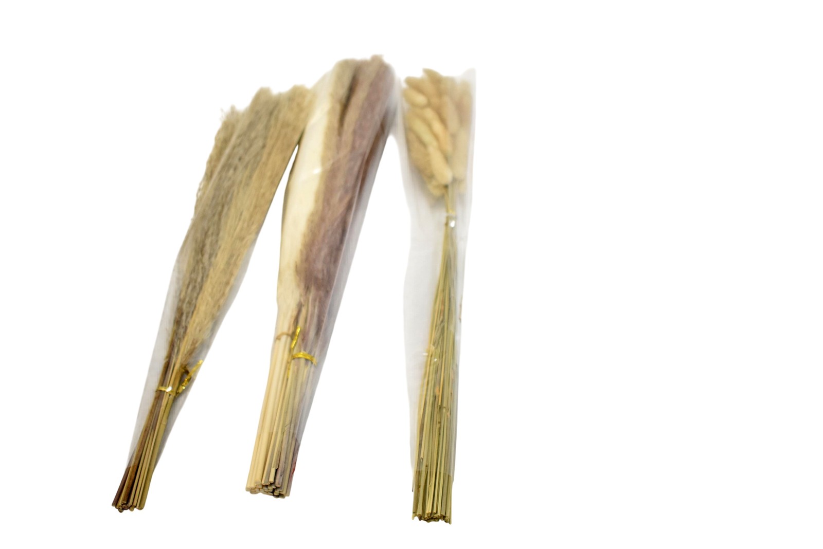 Anproor Pampas Grass Dried Flower Bunch 2ft Beige 100pcs Rabbit Tail Decor