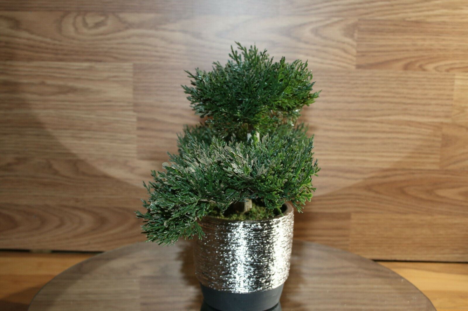 Bonsai Faux Japanese Pine Fake Tree 10x12x6″ Never Dies Cool Home Decor