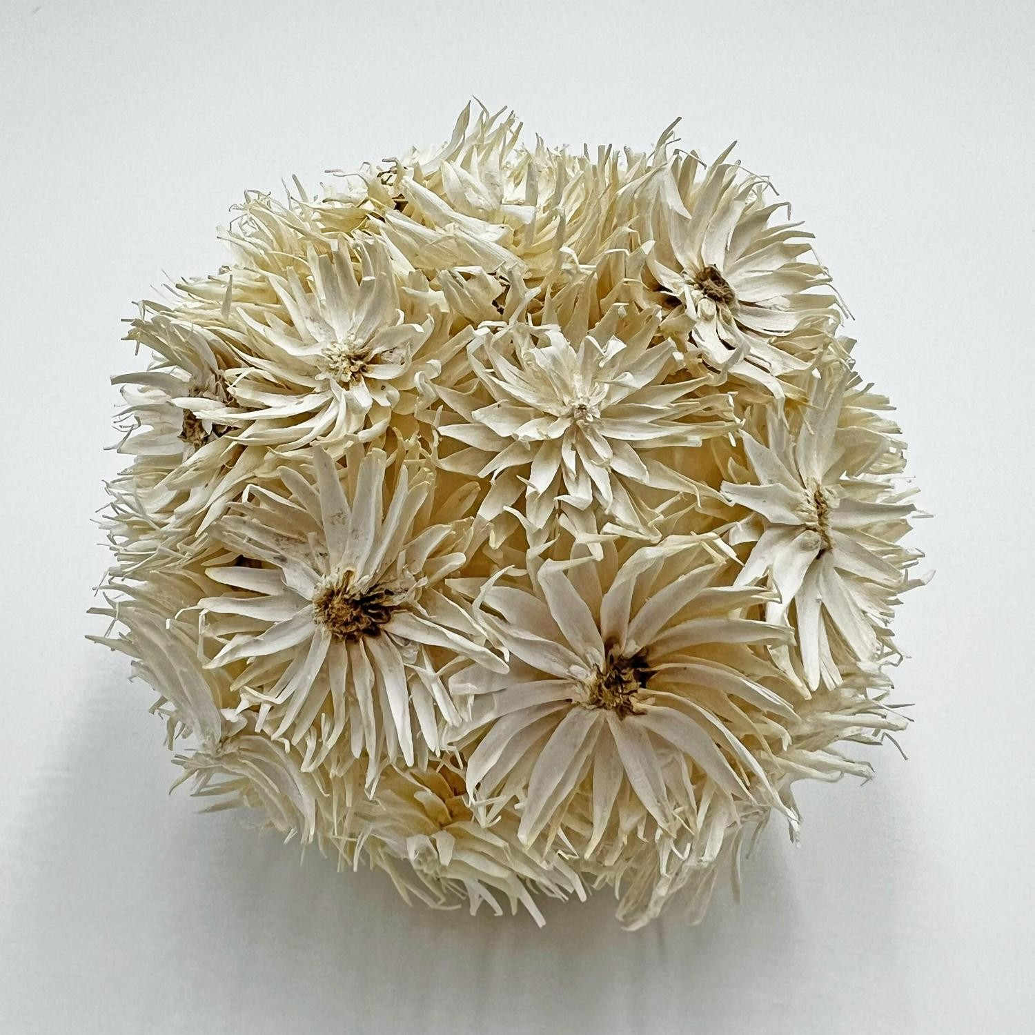 Preserved Decorative Conifer And Pinecone Topiary Balls – White – Set Of 4
