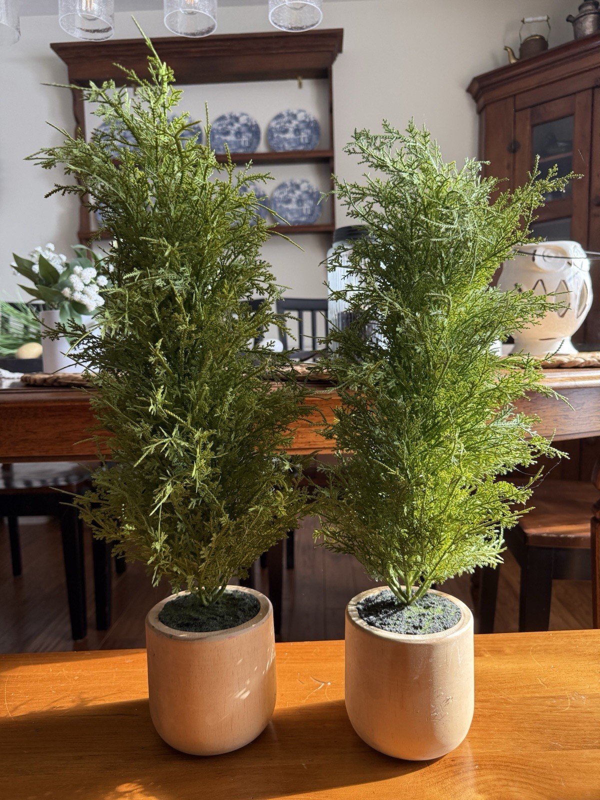 Two Realistic 22 Inch Mini Potted Faux Cedar Pine Trees In Wood Pots