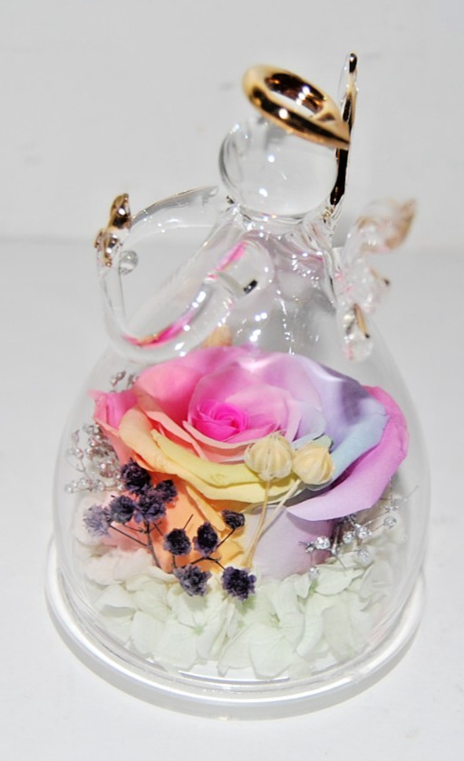 New Glass Angel Rose Gifts Preserved Rainbow Rose Flower in Glass Love Forever