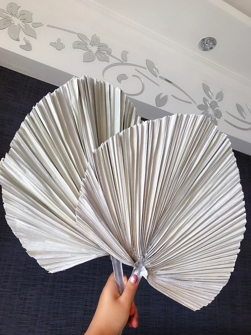 Dried Natural Plant Palm leaves