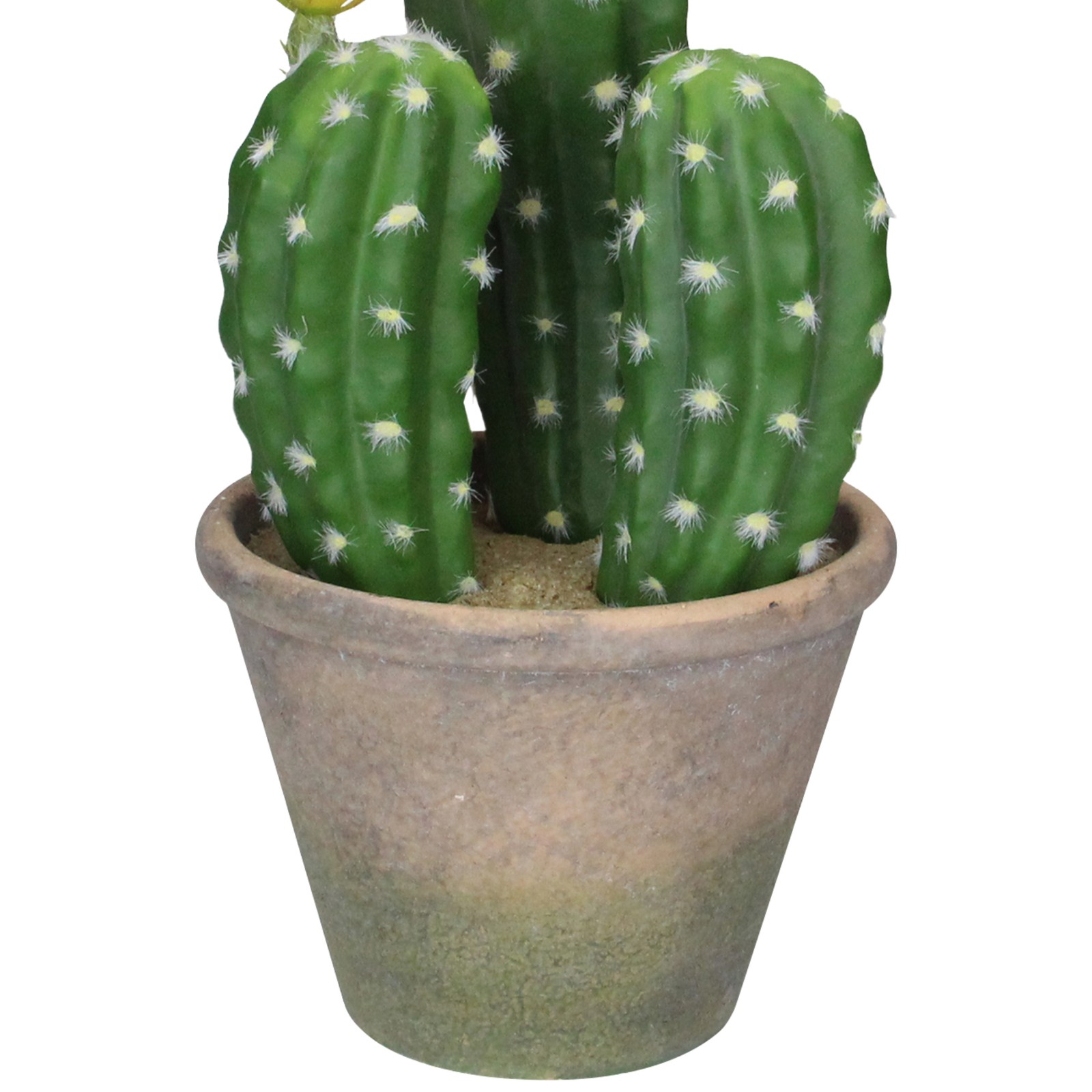 Allstate 12.5″ Green Flowering Column Cactus In A Ceramic Pot With Flowers