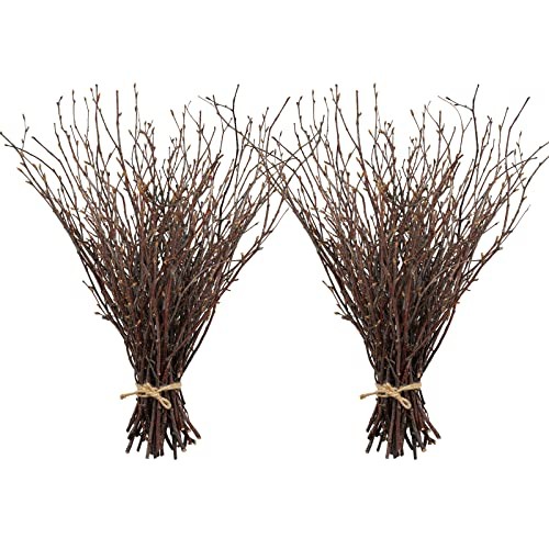 100PCS Natural Dried Birch Twigs – 17 Inch Dried Plants Birch-2 Bundle
