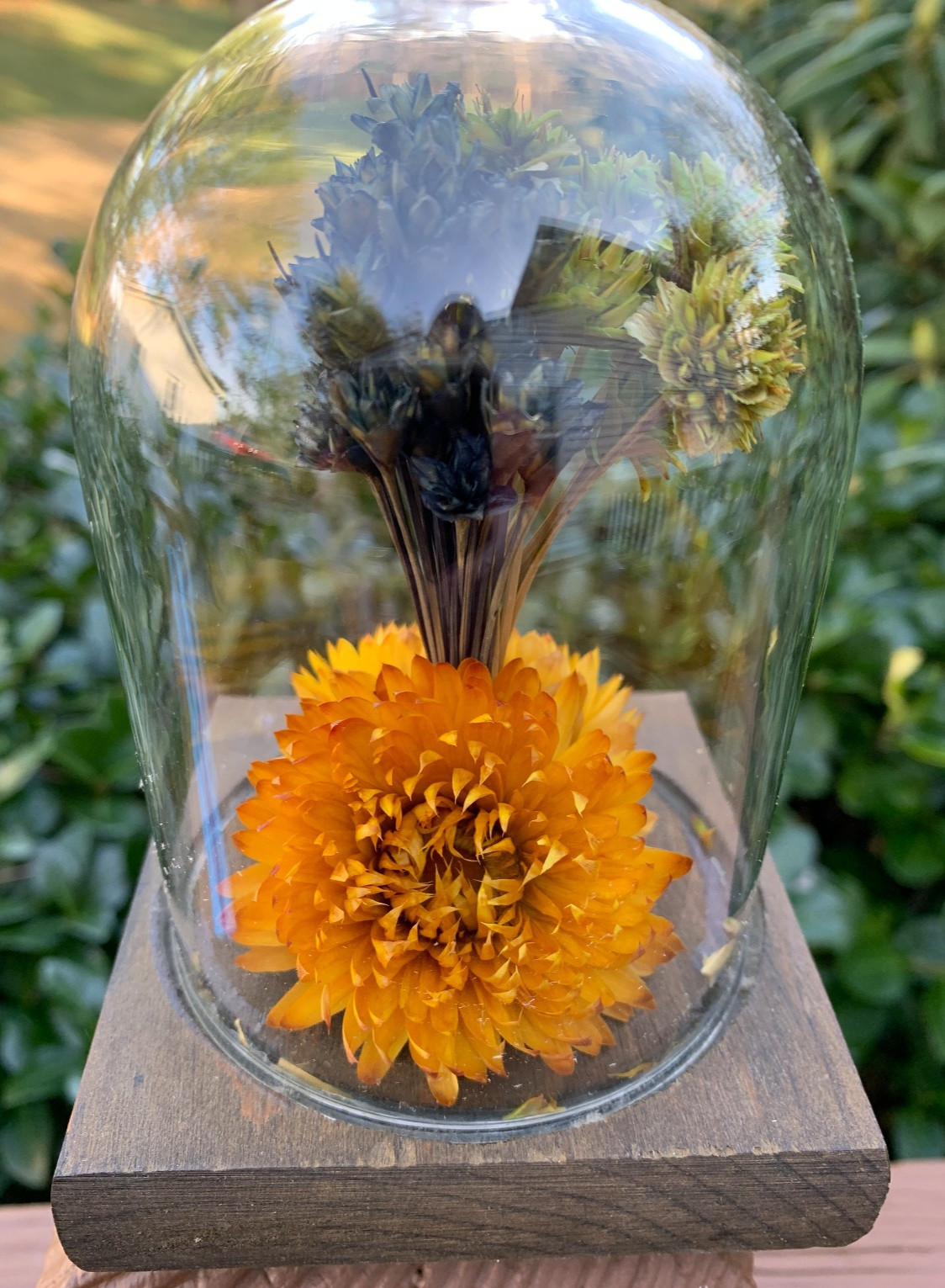 VTG Leonard Creations California Dried Flower Glass Dome on Wood Base w/ Sticker