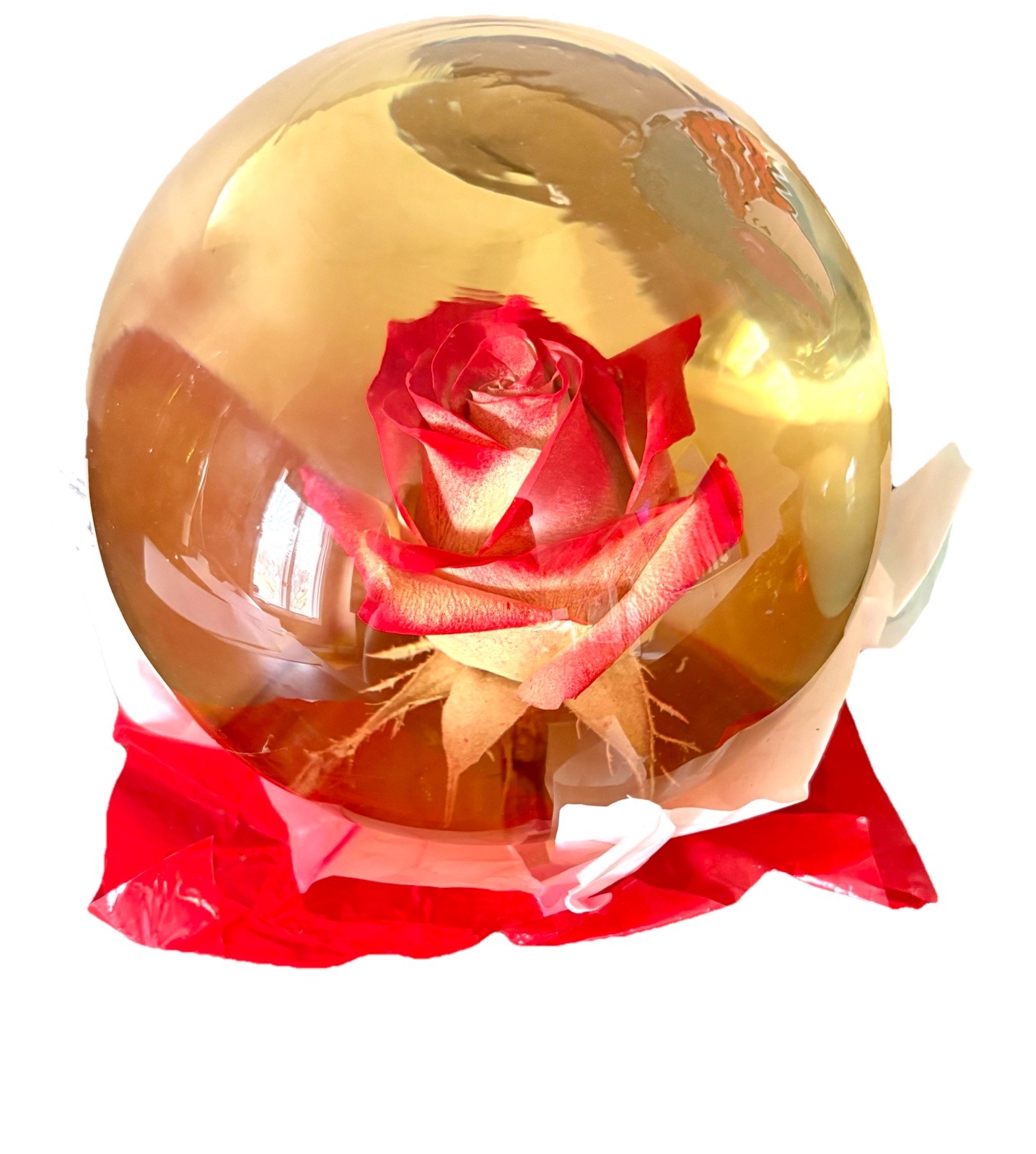 Vtg Forever Red Rose Preserved in Glass Water Globe Romantic Retro Gift Decor 7”