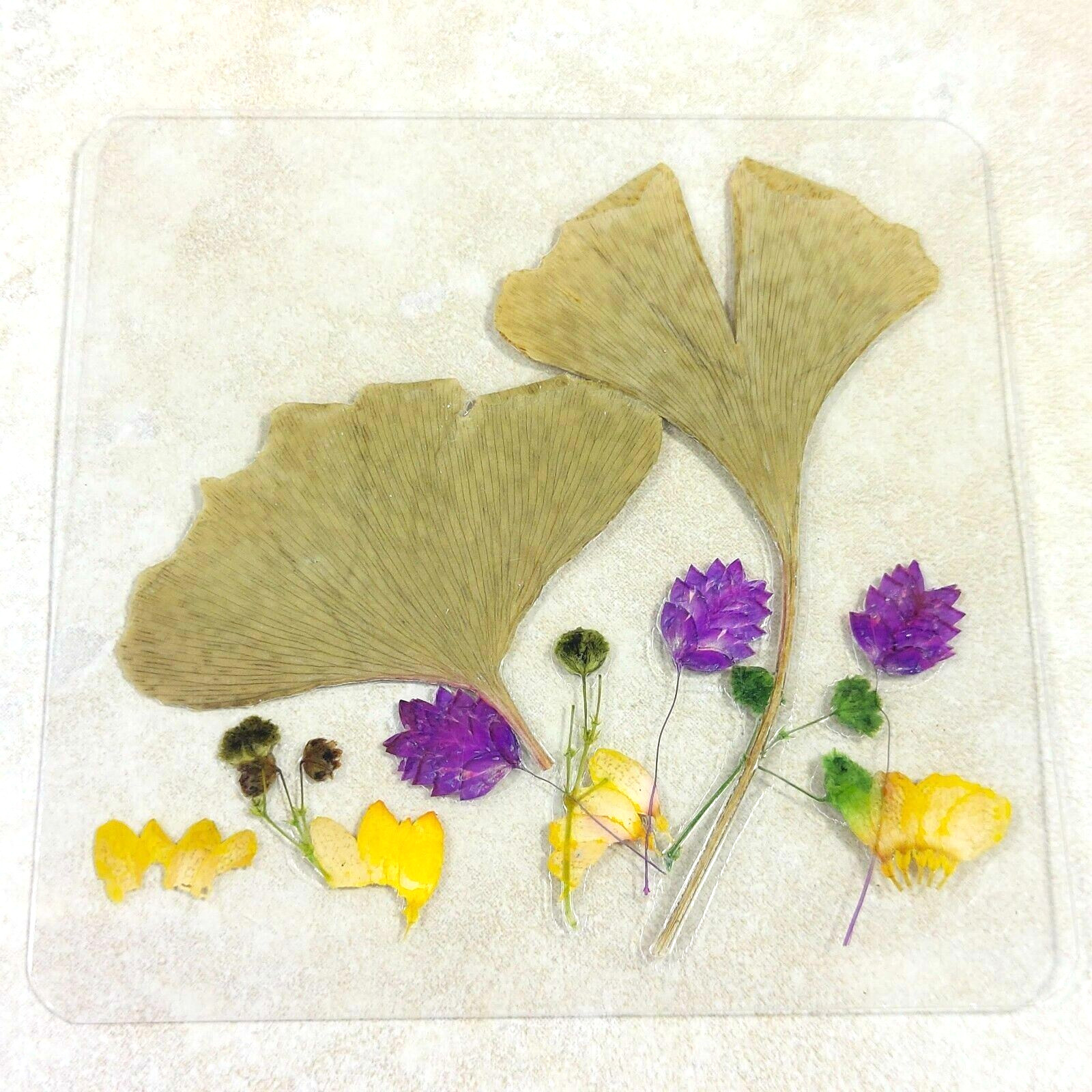 Dried Pressed Flowers Natural Flower Petal Set Resin Art Design Home Décor Gift