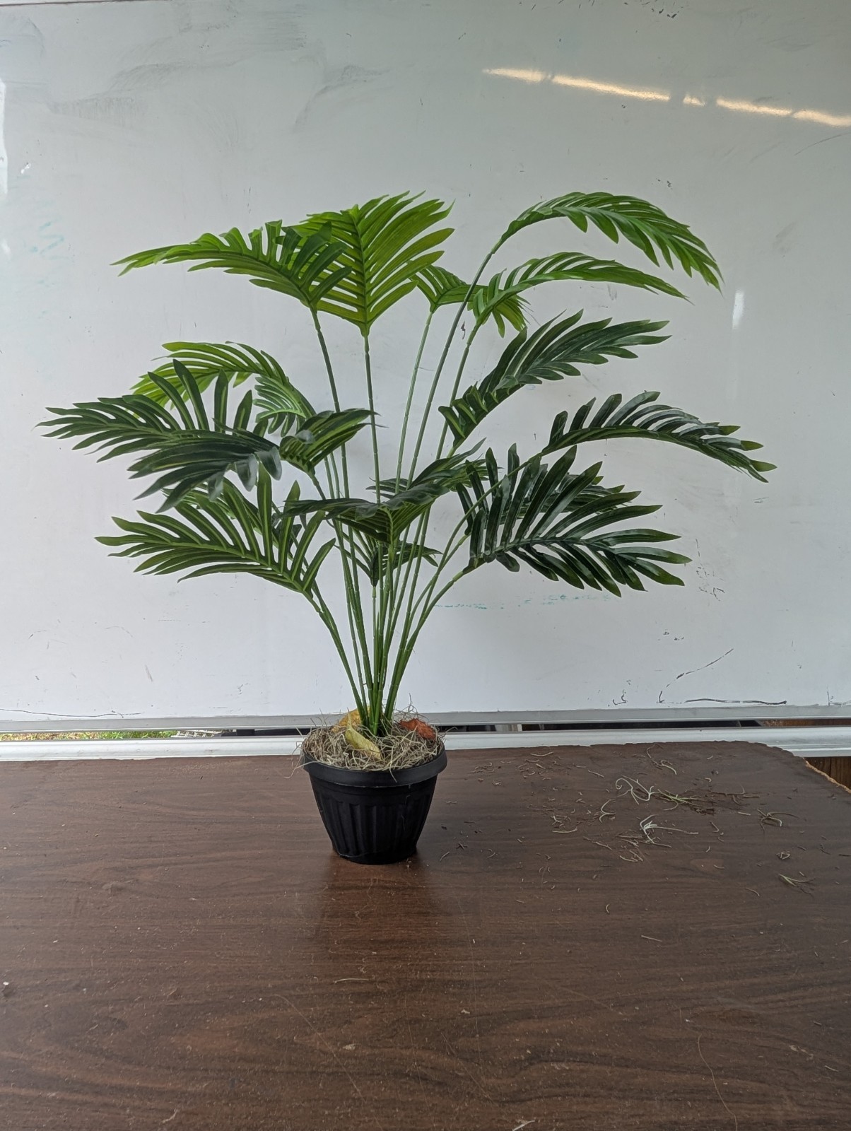Artificial Palm Plants In Pot/ Office Decor/