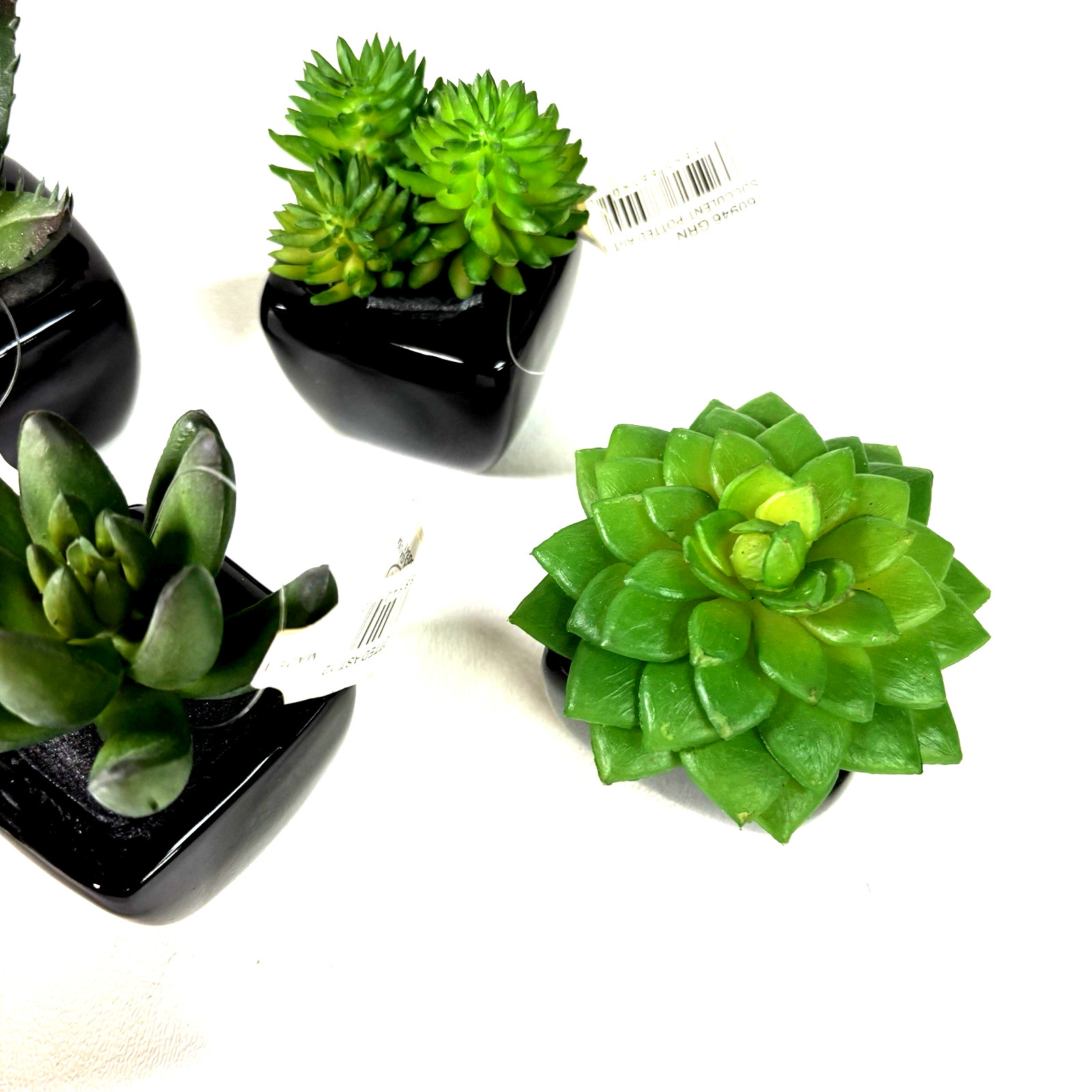 Set of 6 Artificial Mini Succulents in Black Ceramic Pots New With Tags