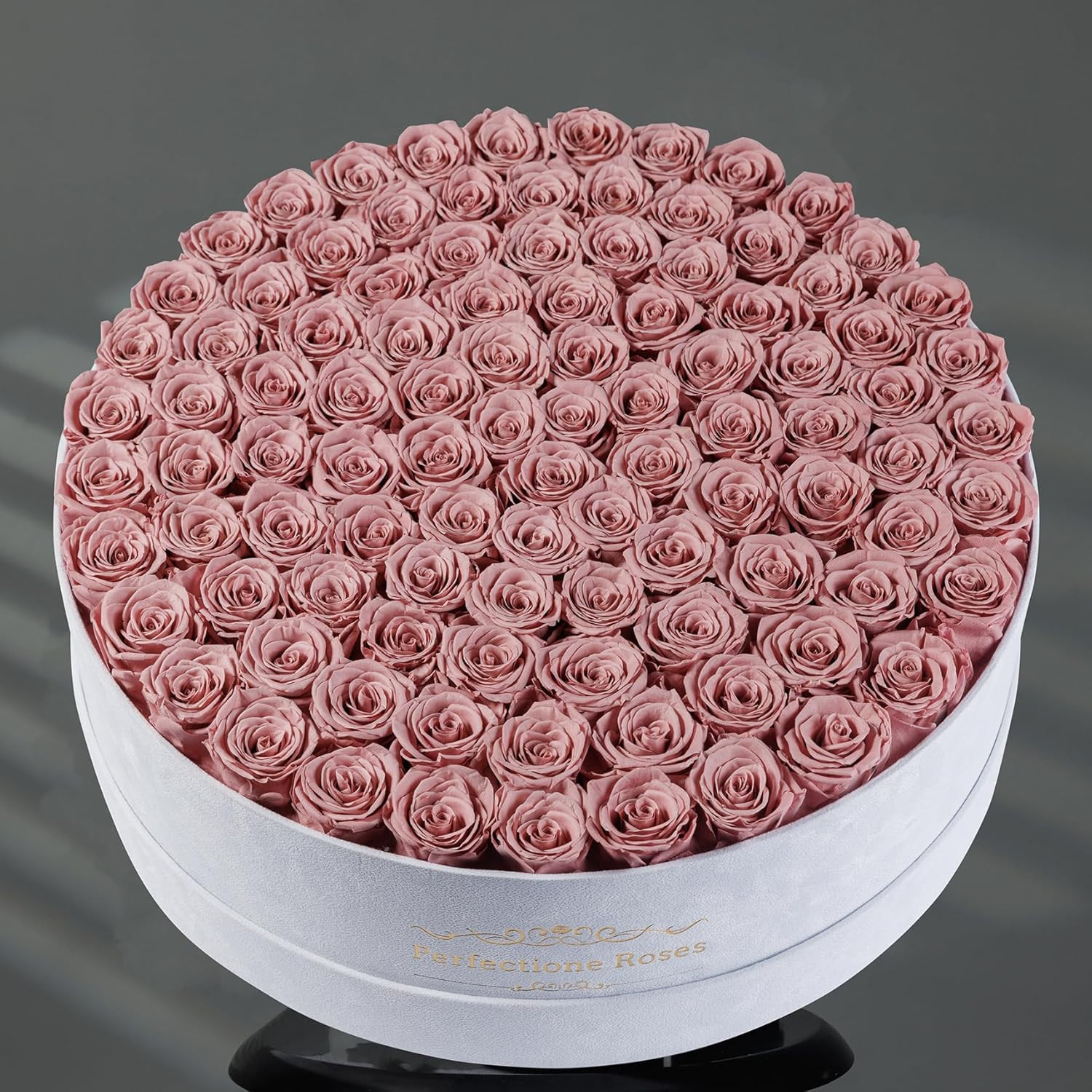 100 Dusty Rose Preserved Roses in Velvet Box – Perfect Gift for Her
