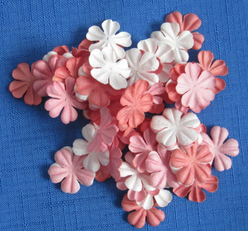 #1 Lot-14 Bags Used Mulberry Paper Flower Petals .5″-1″ Multiple Colors Sizes