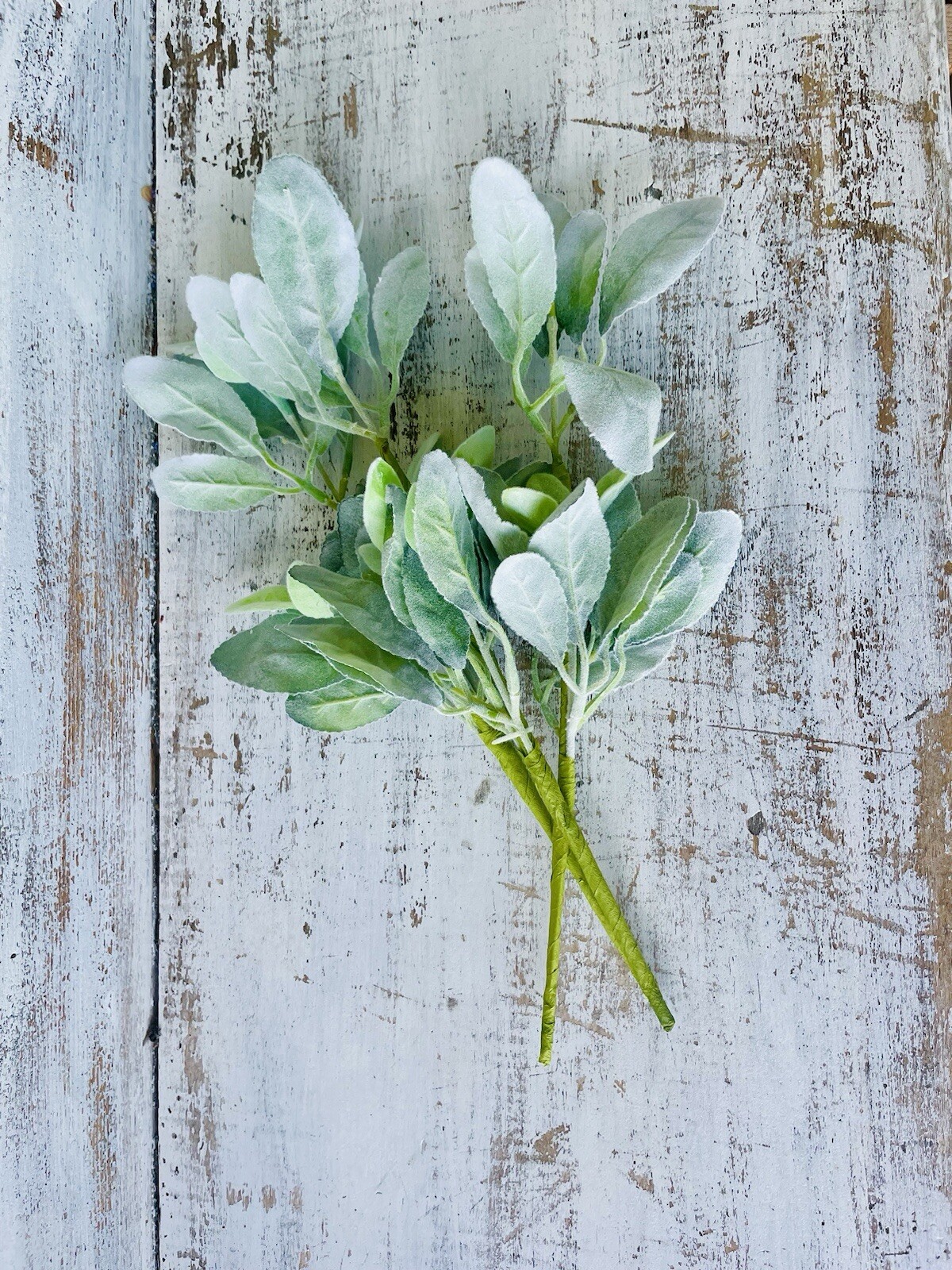 Lamb’s Ear Pick, 13” Bundle Of 3