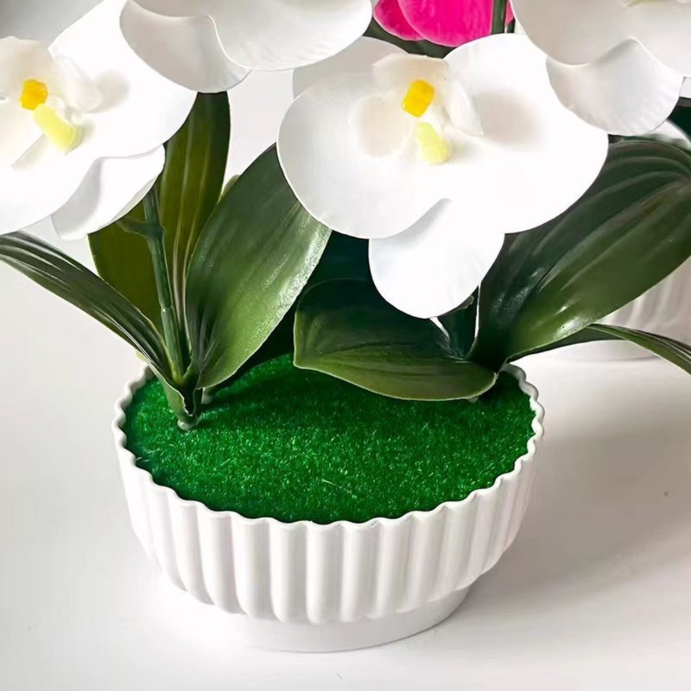 Phalaenopsis Orchid Simulation with Shell Shaped Pot for Home Office Use