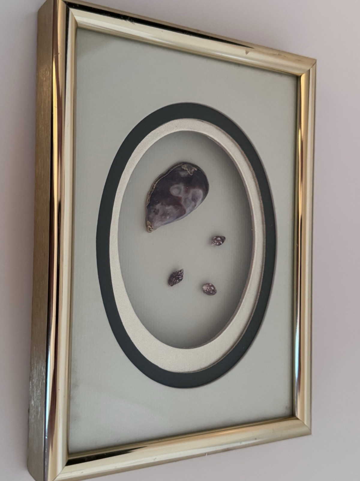 Vintage M&R Original Framed Shell Art Shadow Box Skokie IL Mid Century Coastal