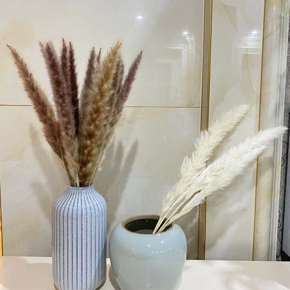 60PCS Natural Dried Pampas Grass Reed Flower Bunch DIY Flower Home Decor Supply
