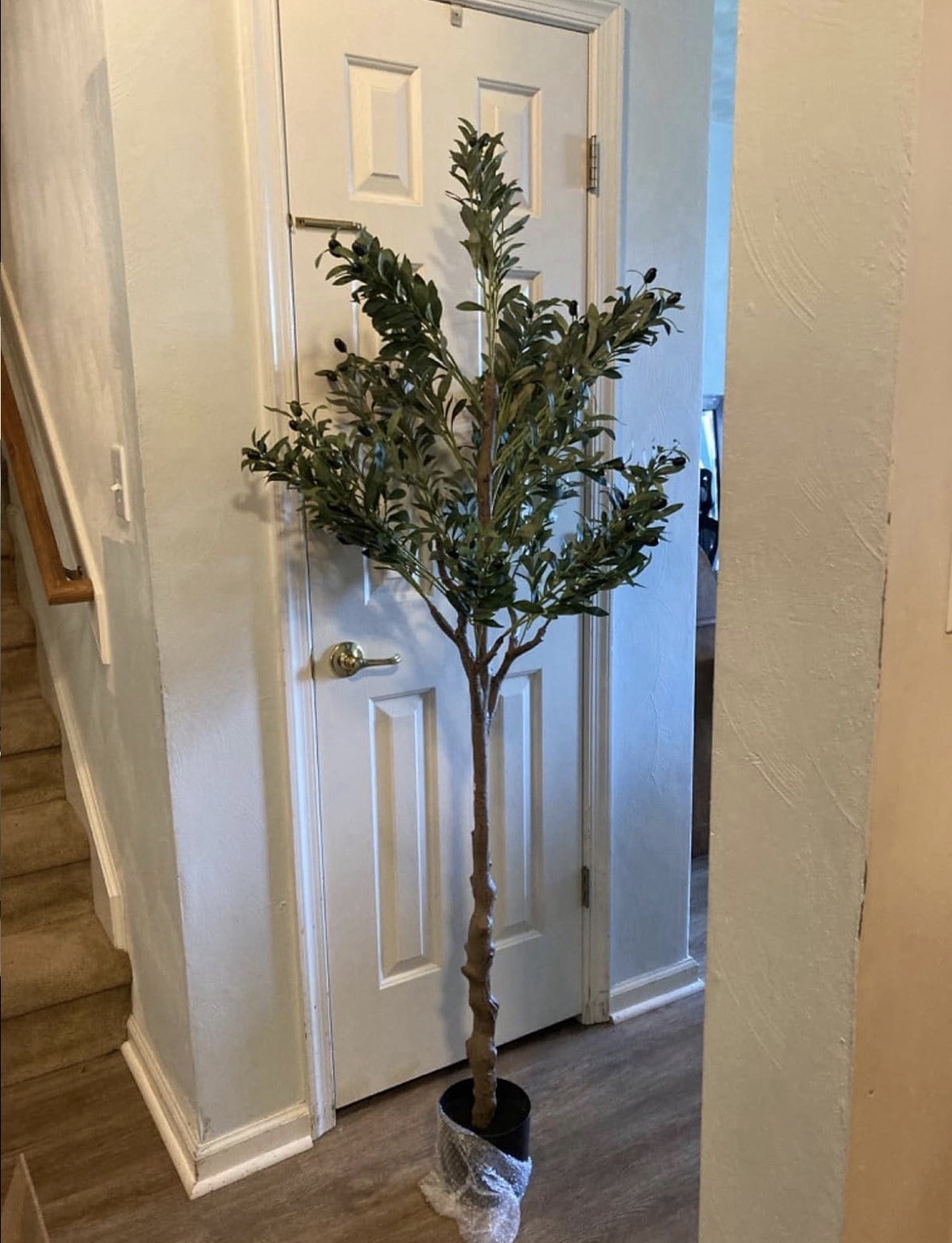 6ft Artificial Olive Tree with Silk Leaves, Fruits, Fake Plant, Pot