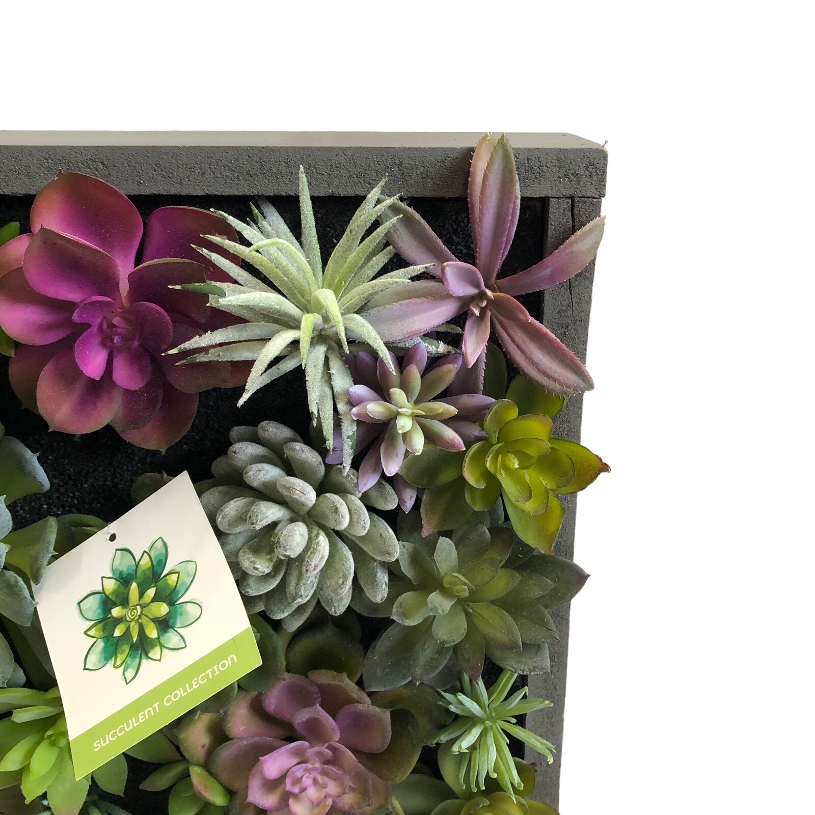 WALL OF FAUX SUCCULENT Cactus in Gray Wood Box Decor Display 12x12x3 inches New