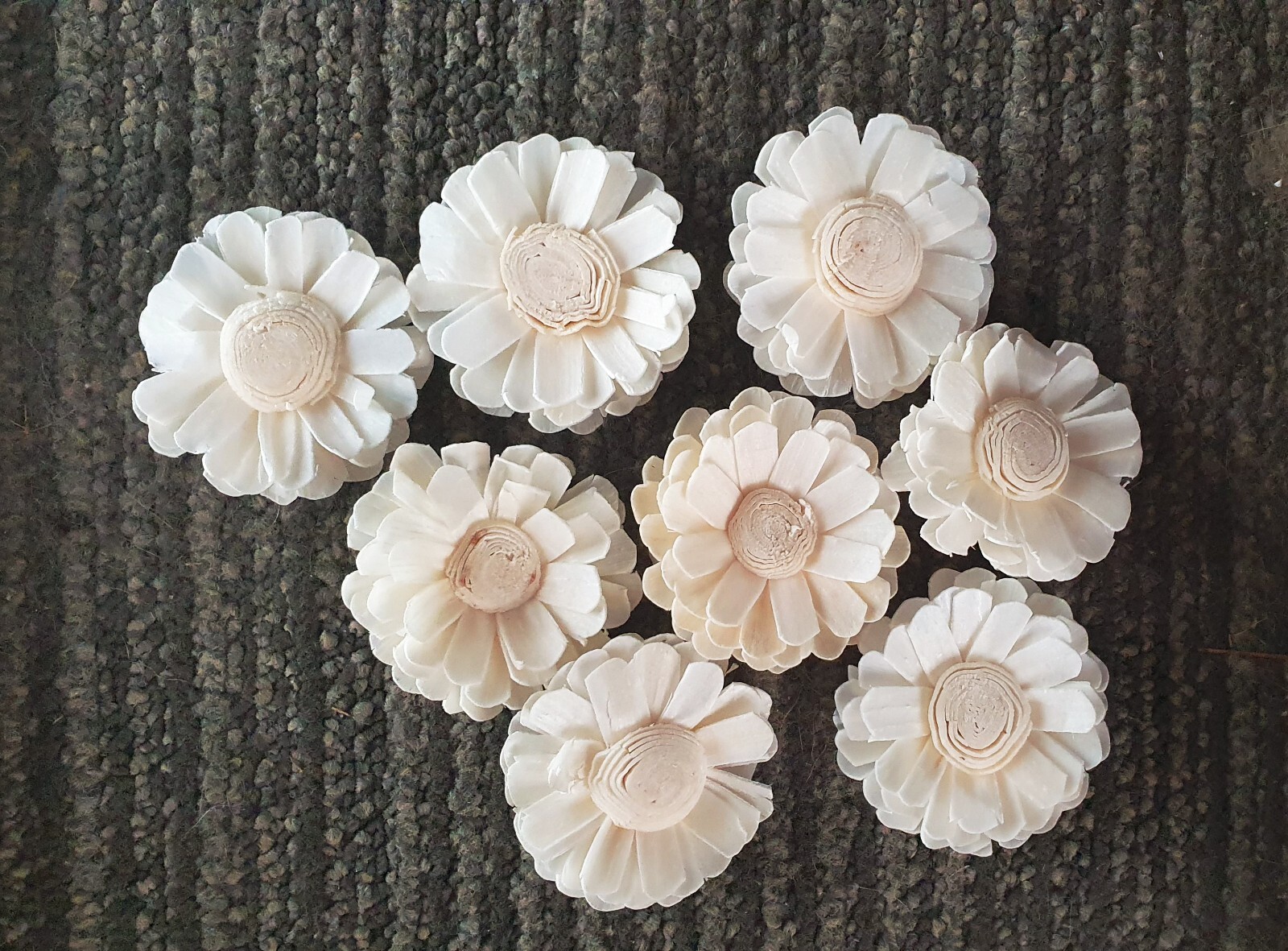 15 White Daisy Sola Wood Flower Diffuser Flowers 5 cm Dia. For Decorate Craft