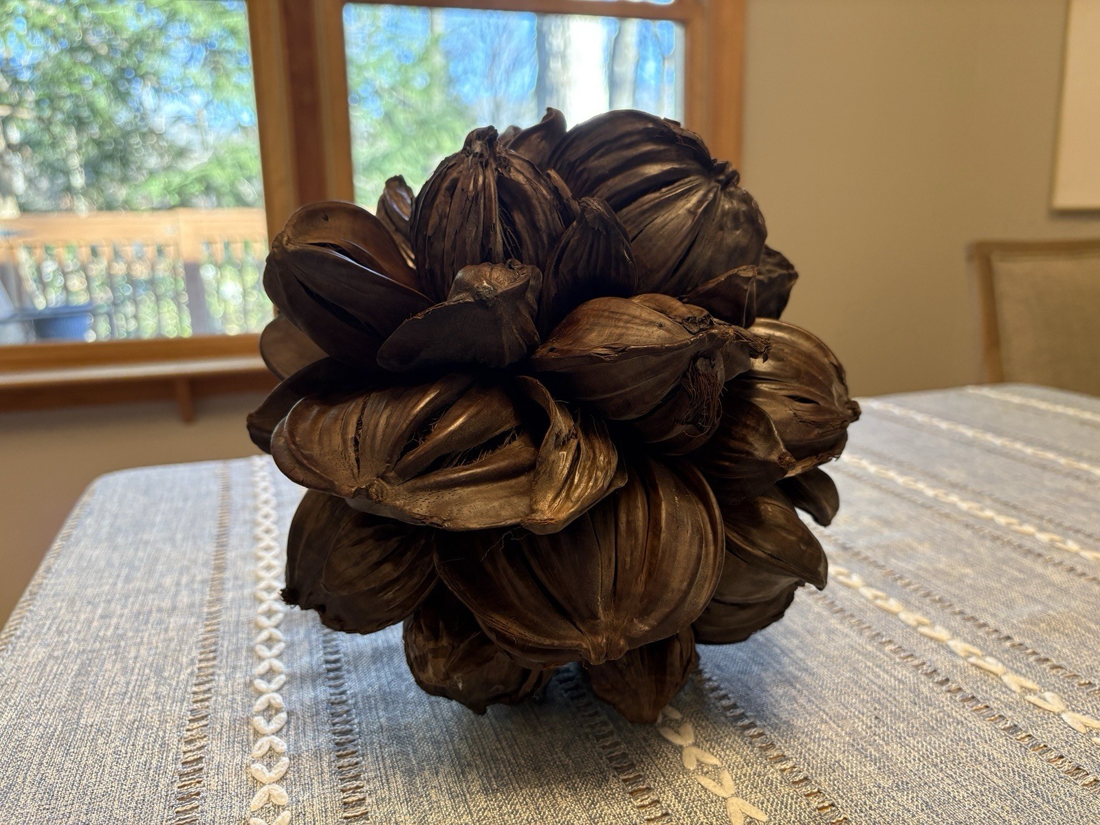 Vietnamese Water Coconut Nipa Palm Fruit Cluster Seed Pod Nypa Fruticans