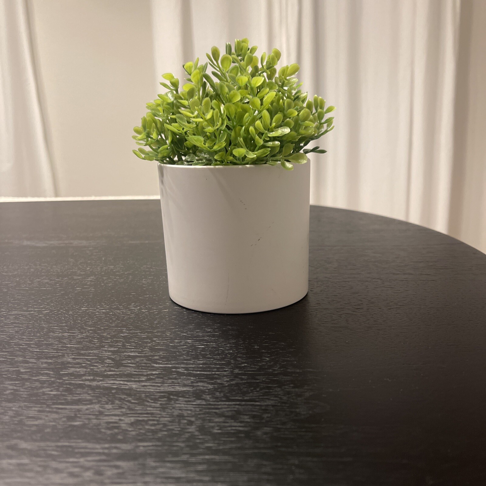 Threshold Potted Faux Boxwood Plant 5” NEW