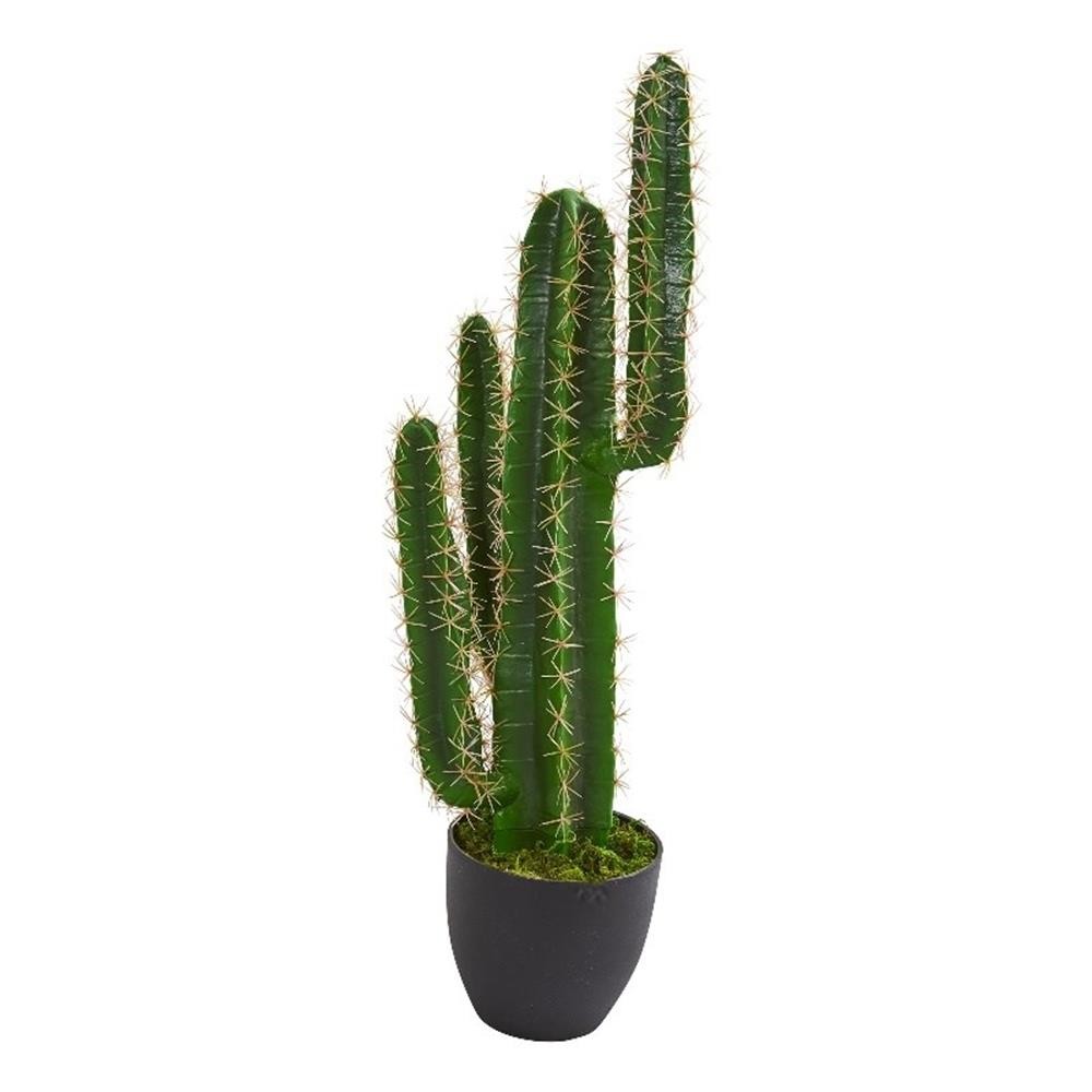 Nearly Natural 30″ Cactus Artificial Plant with Thick Stem/Spines in Green/Black