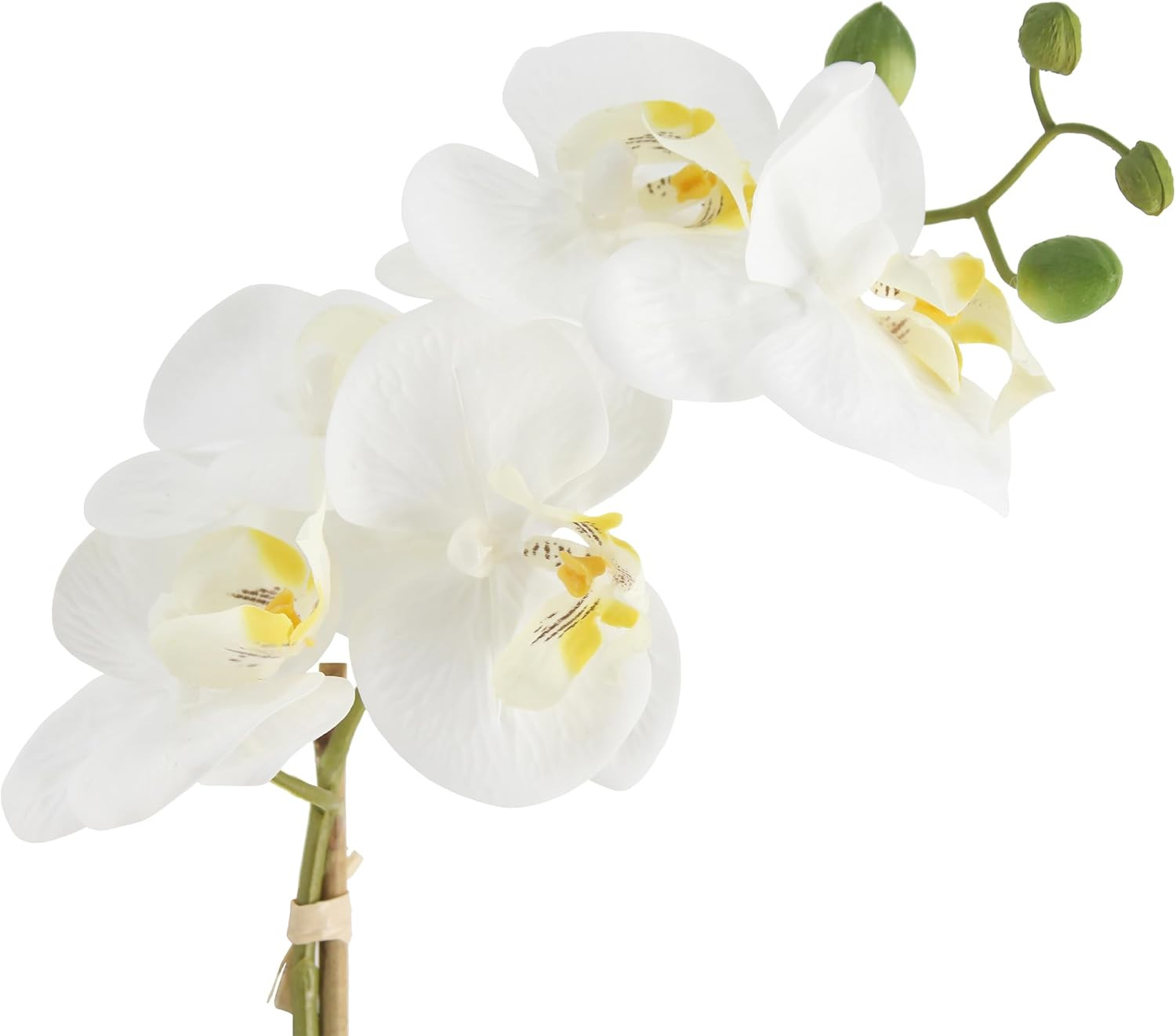 Real Touch Faux Orchid in Ceramic Pot, 16″ White Floral Centerpiece Decor