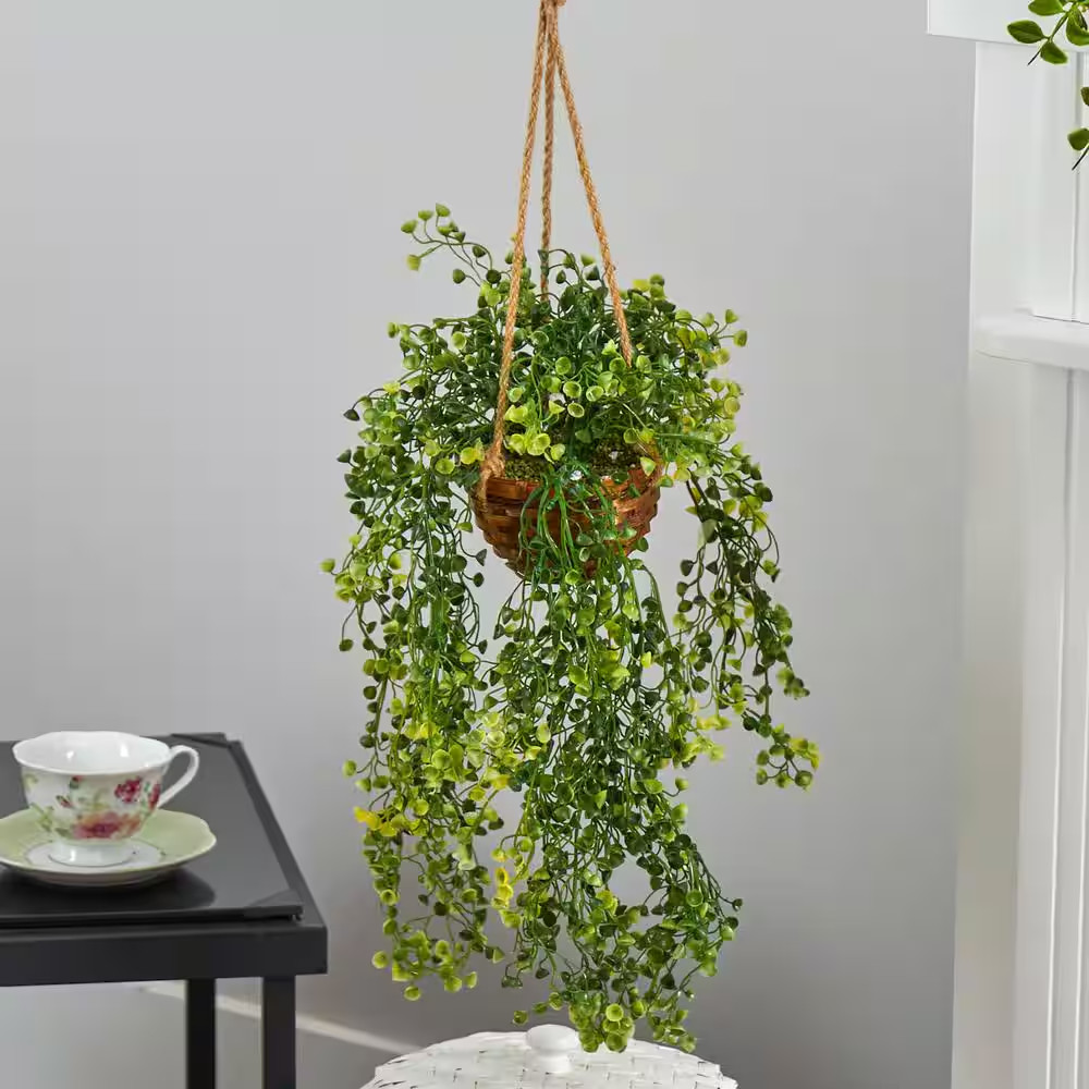 20 In. D Baby Tear Artificial Plant in Hanging Basket