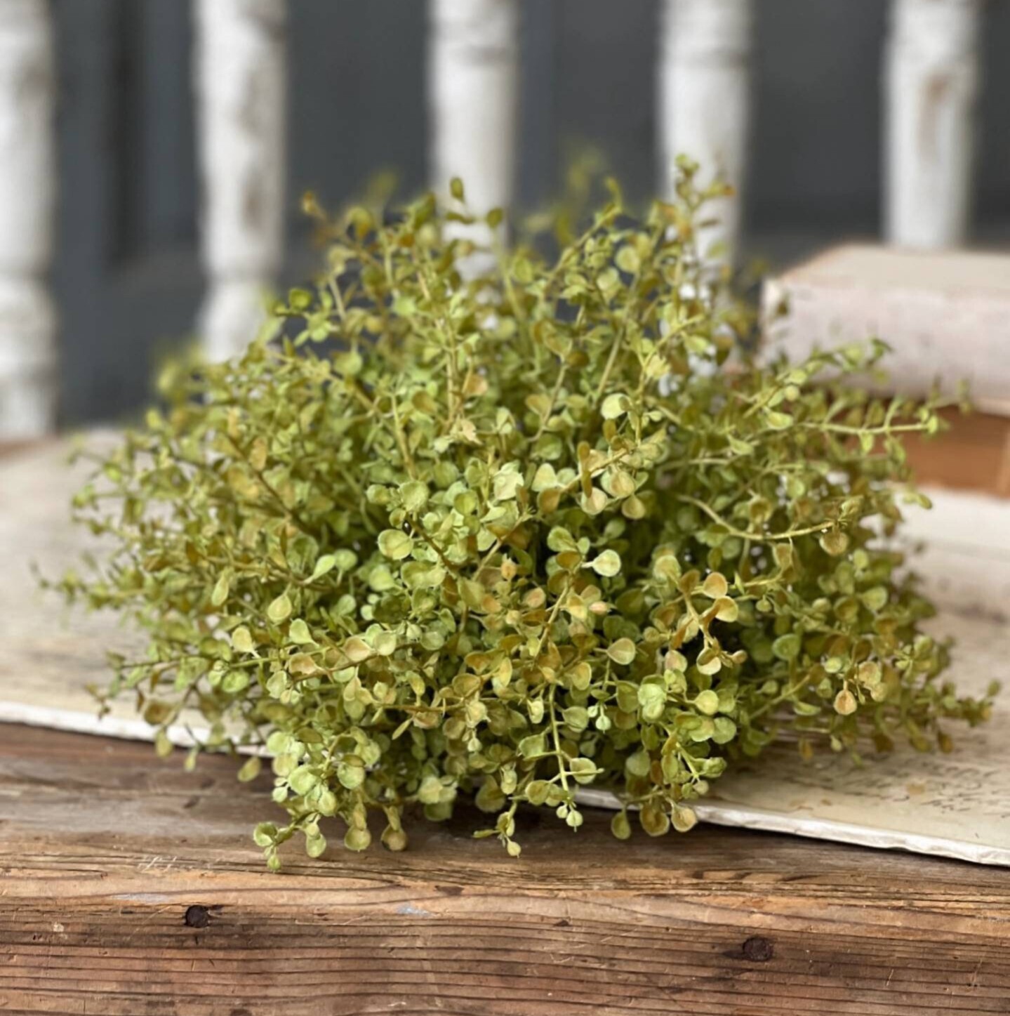 7″ Baby’s Grass Half Sphere Floral Accent Decor