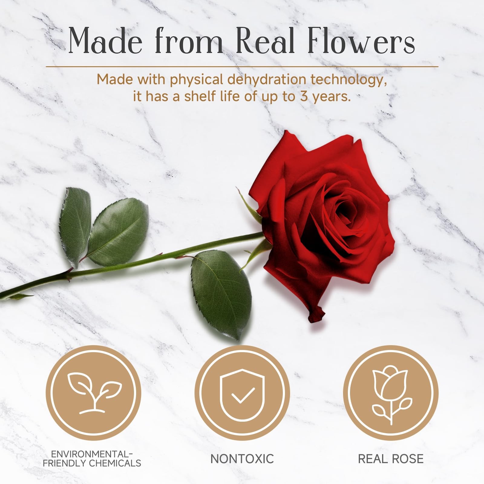 Preserved Red Roses in Glass Dome – Eternal Flowers, Forever Roses with LED L…