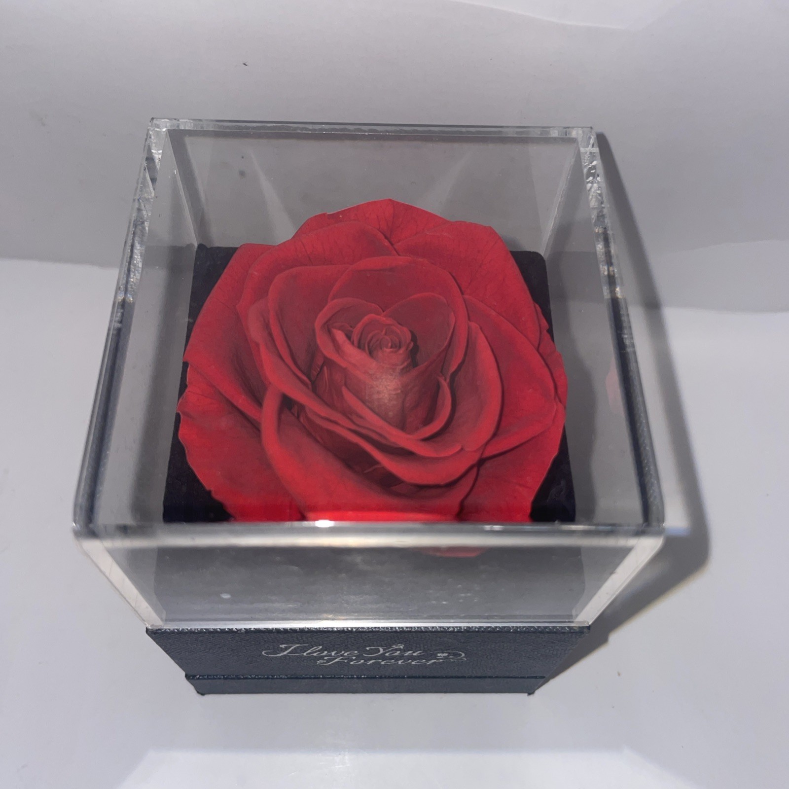 Preserved Eternal Real Rose Flower Gift Box With Jewelry Box Best Wishes
