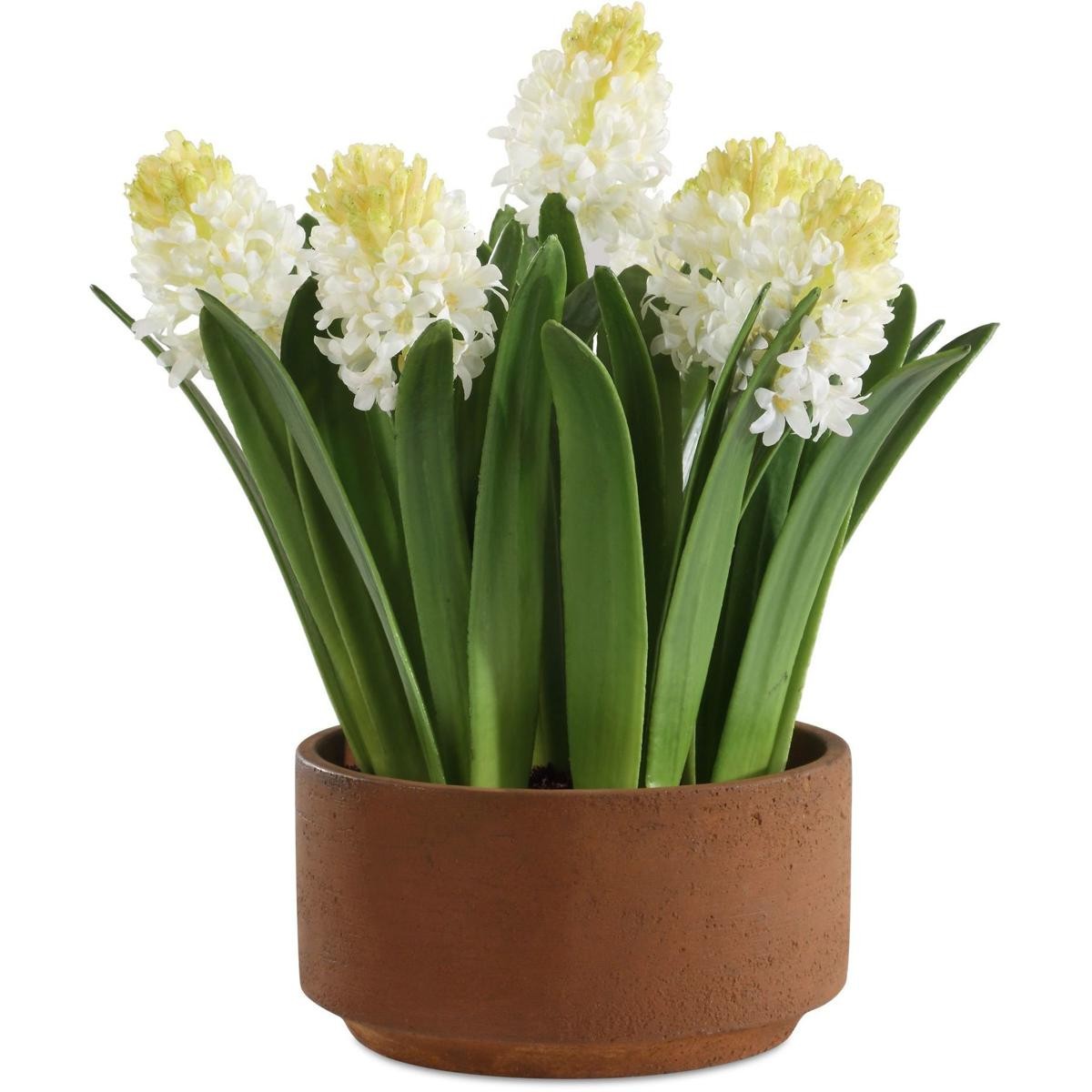 Uttermost 60242 Sincerity White and Green and Terracotta Potted Hyacinth Plant