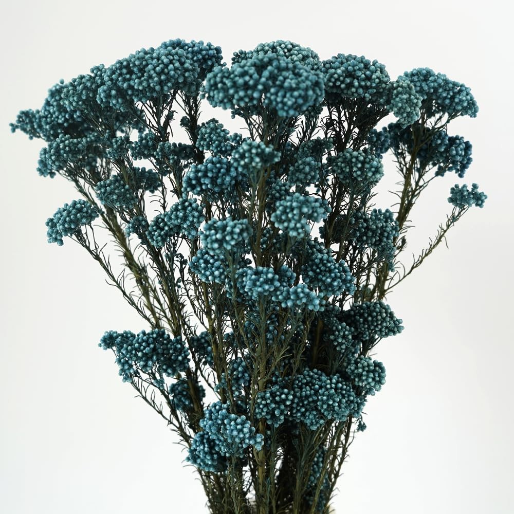 Ocean Blue Natural Preserved Millet Flowers Dried Bouquet Plant Arrangement