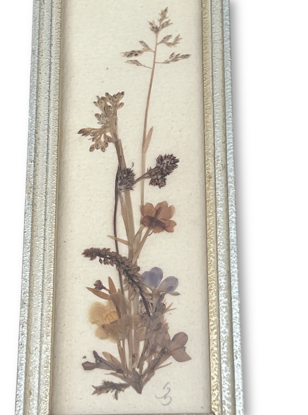 Vintage Pressed Flower Framed Art East Germany 7.5”x2.75” Cottage Core Signed