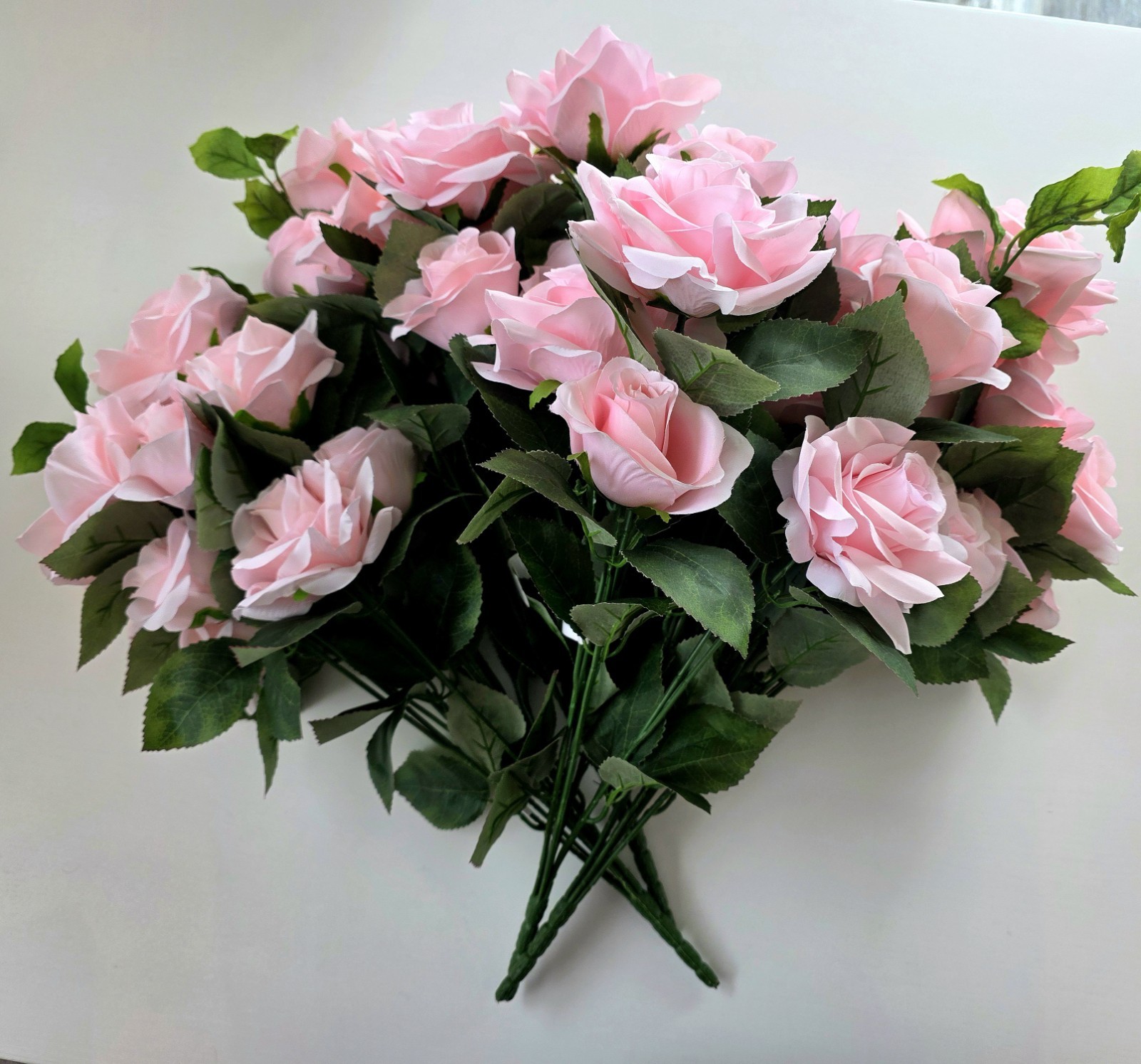 Ashland Rose Bush *Preowned, Gorgeous*