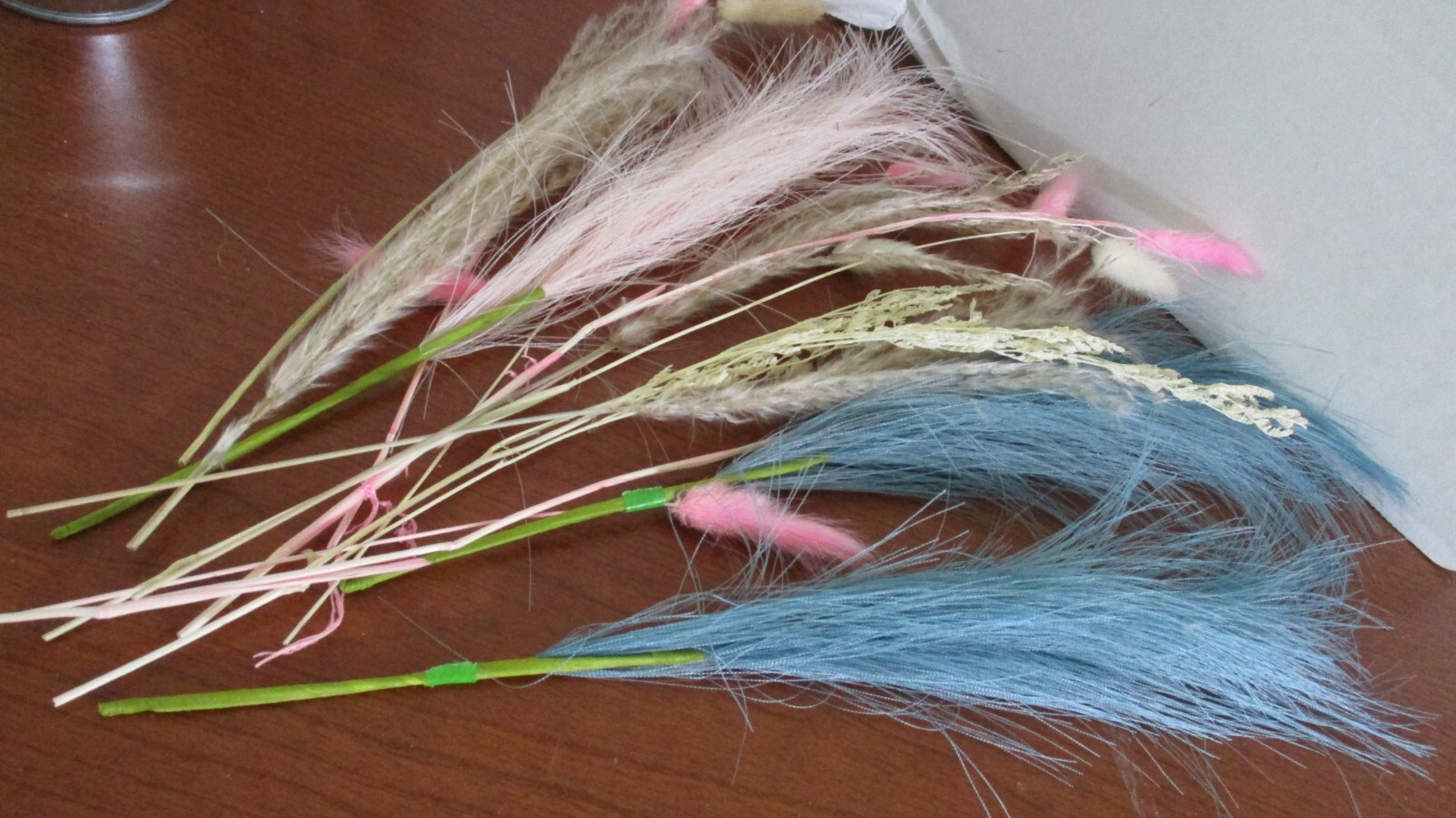 Small lot of PAMPAS Flowers (tk)