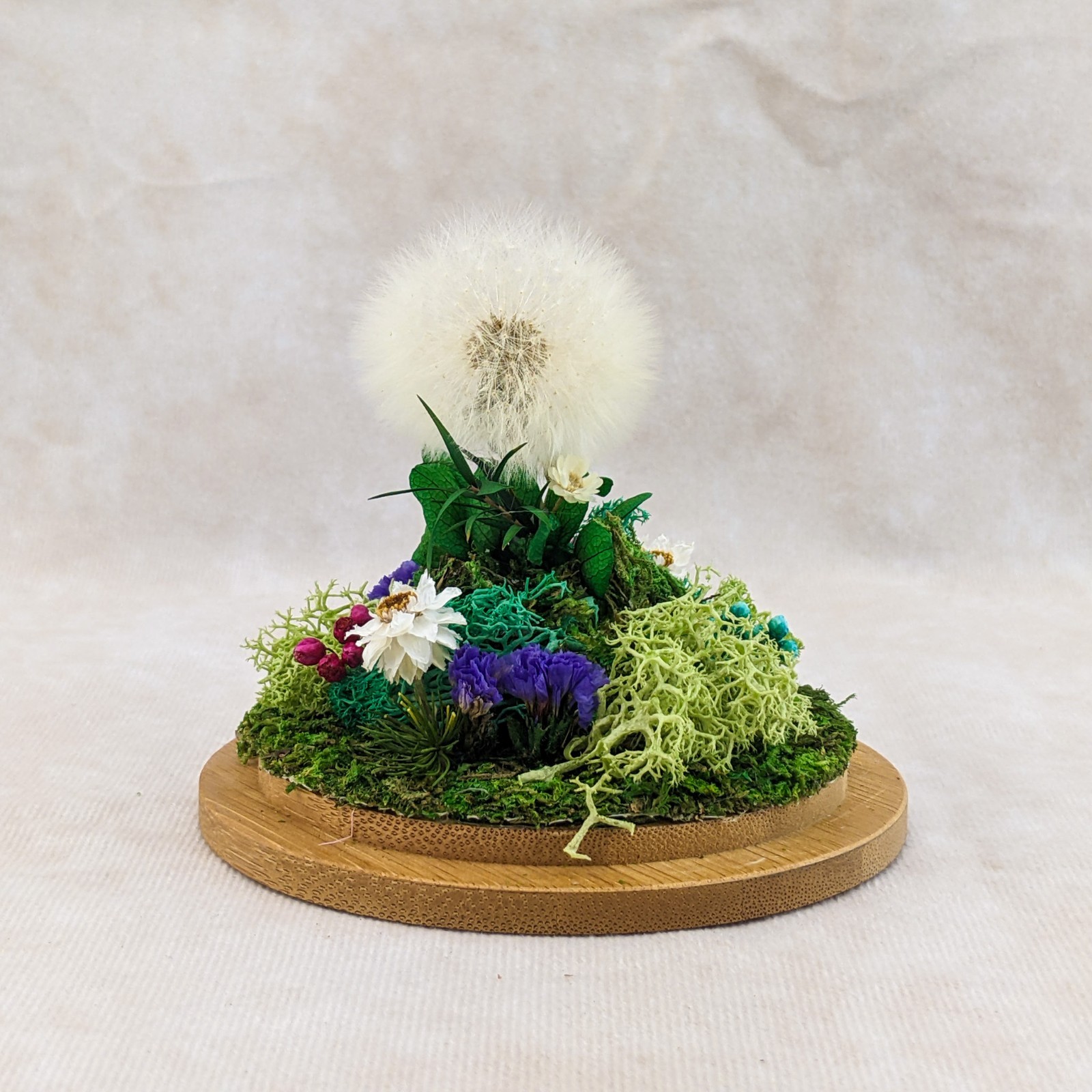 Dandelion Head all natural flowers Lg Glass Dome display collectible decor gif