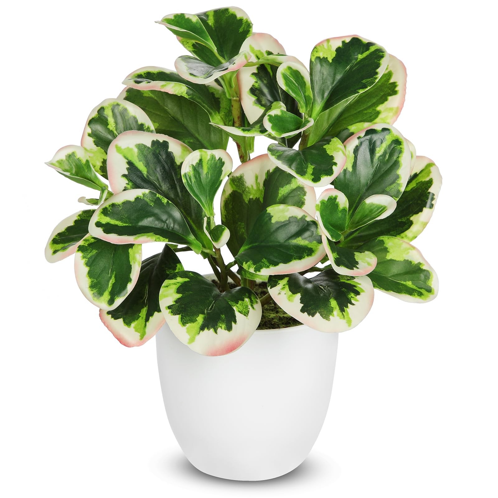 Fake Plants in White Pot, Artificial Potted Plant for Home Farmhouse Table De…