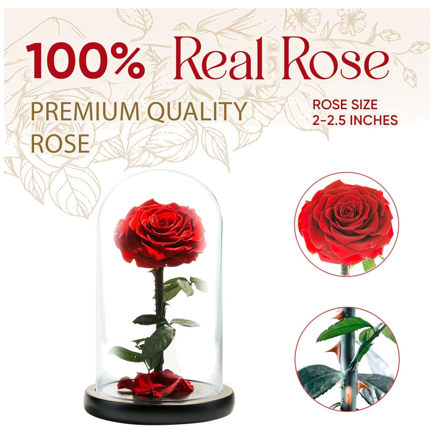 Forever Rose in Glass Dome – Beauty and the Beast Rose