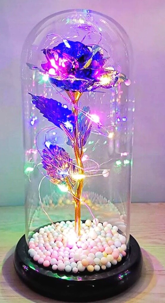 Colorful Rose Flower in Globe Dome Light Romantic NIB