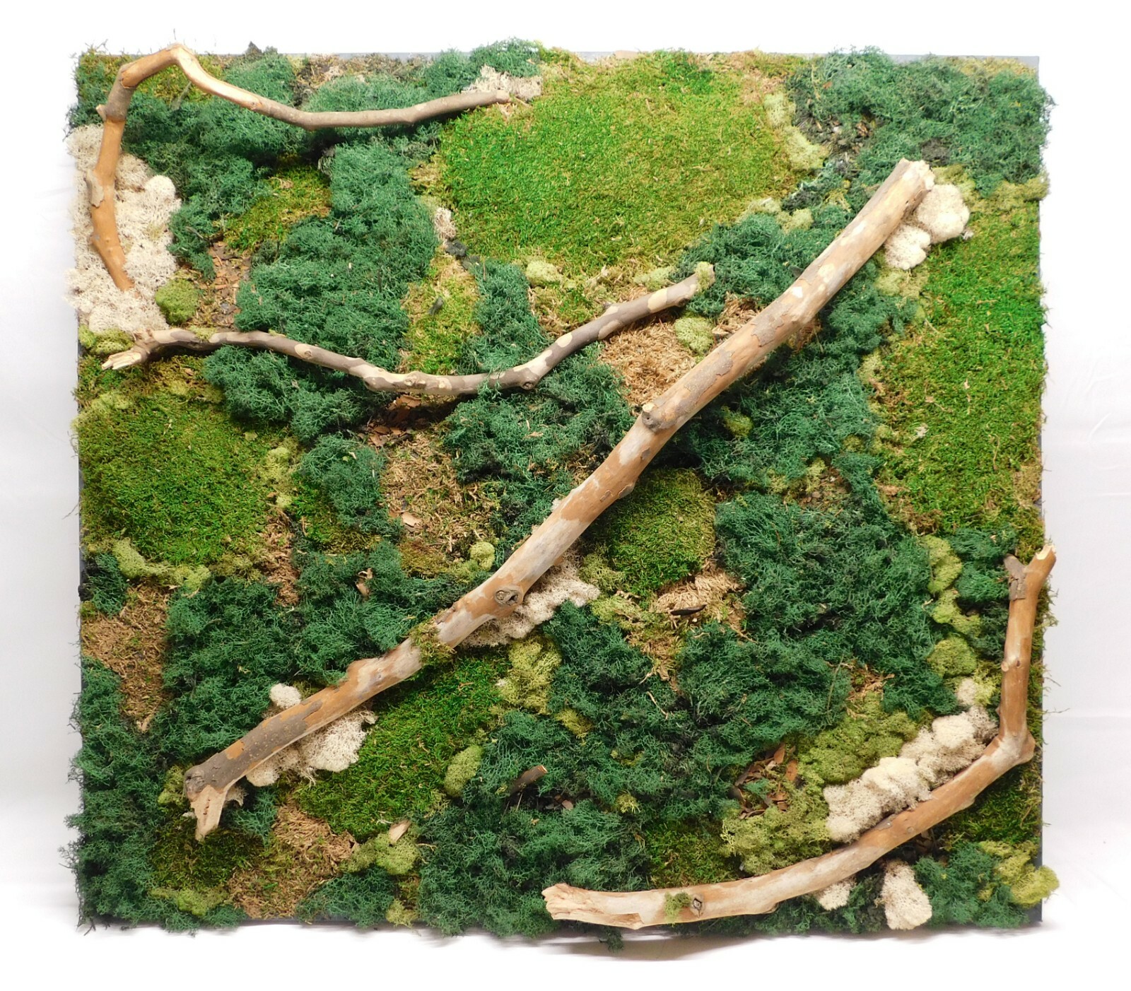 FREE SHIPPING, Large preserved moss wall art with branches, mounted on canvas 
