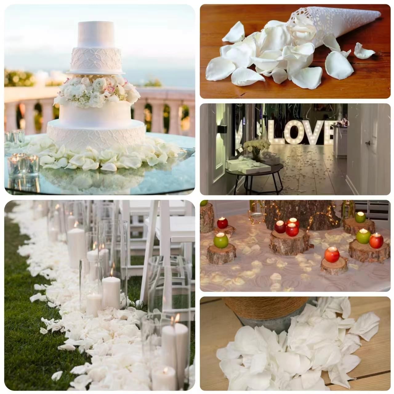 300Pcs Dried Real White Rose Petals, Freeze Preserved Flower Petals 2.8 oz fo…