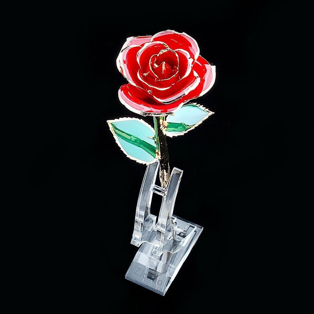 24K Rose Display Stand for 24K Gold Rose – Transparent Acrylic Flower Shelf Supp